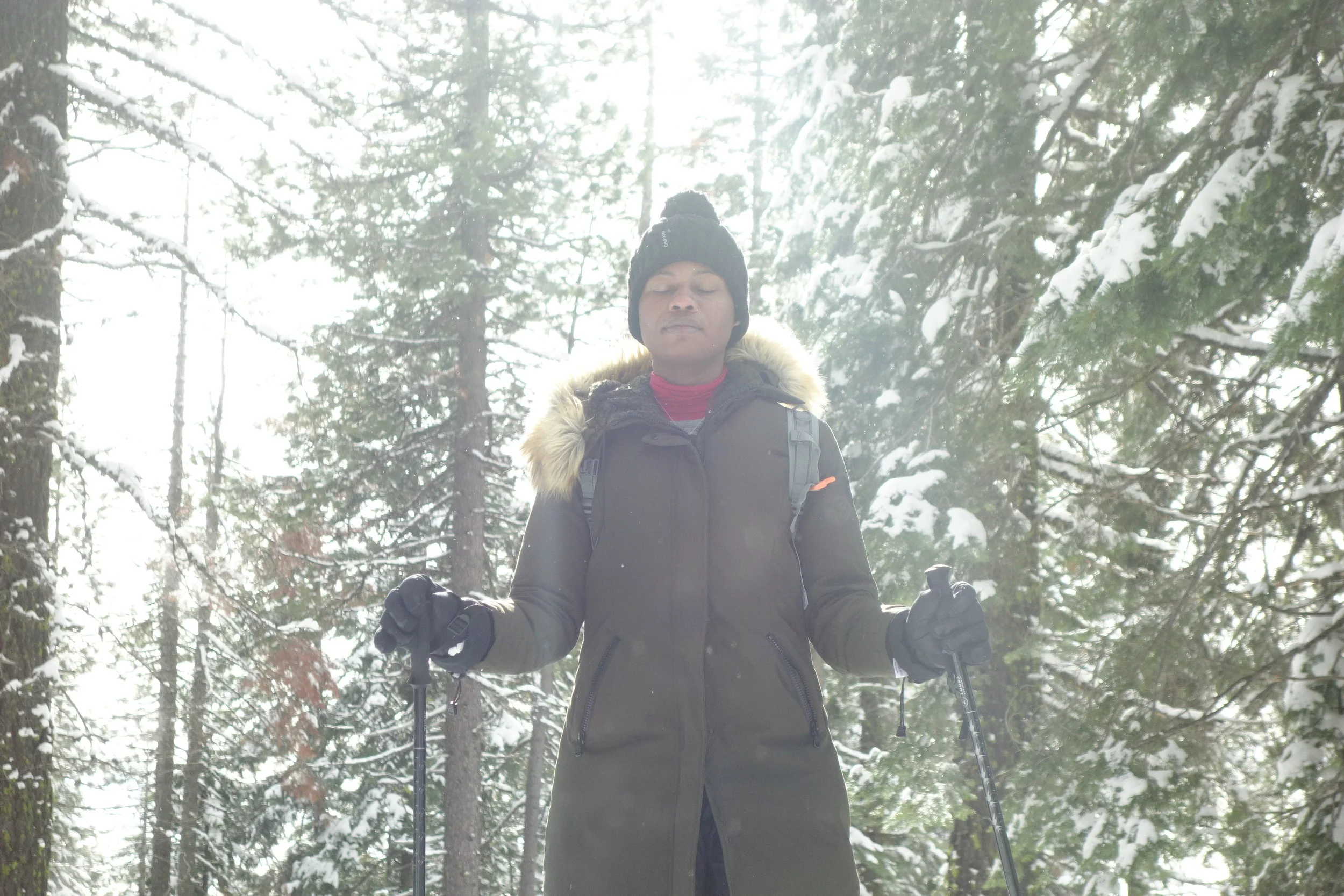 Mt Shasta Spiritual Tours