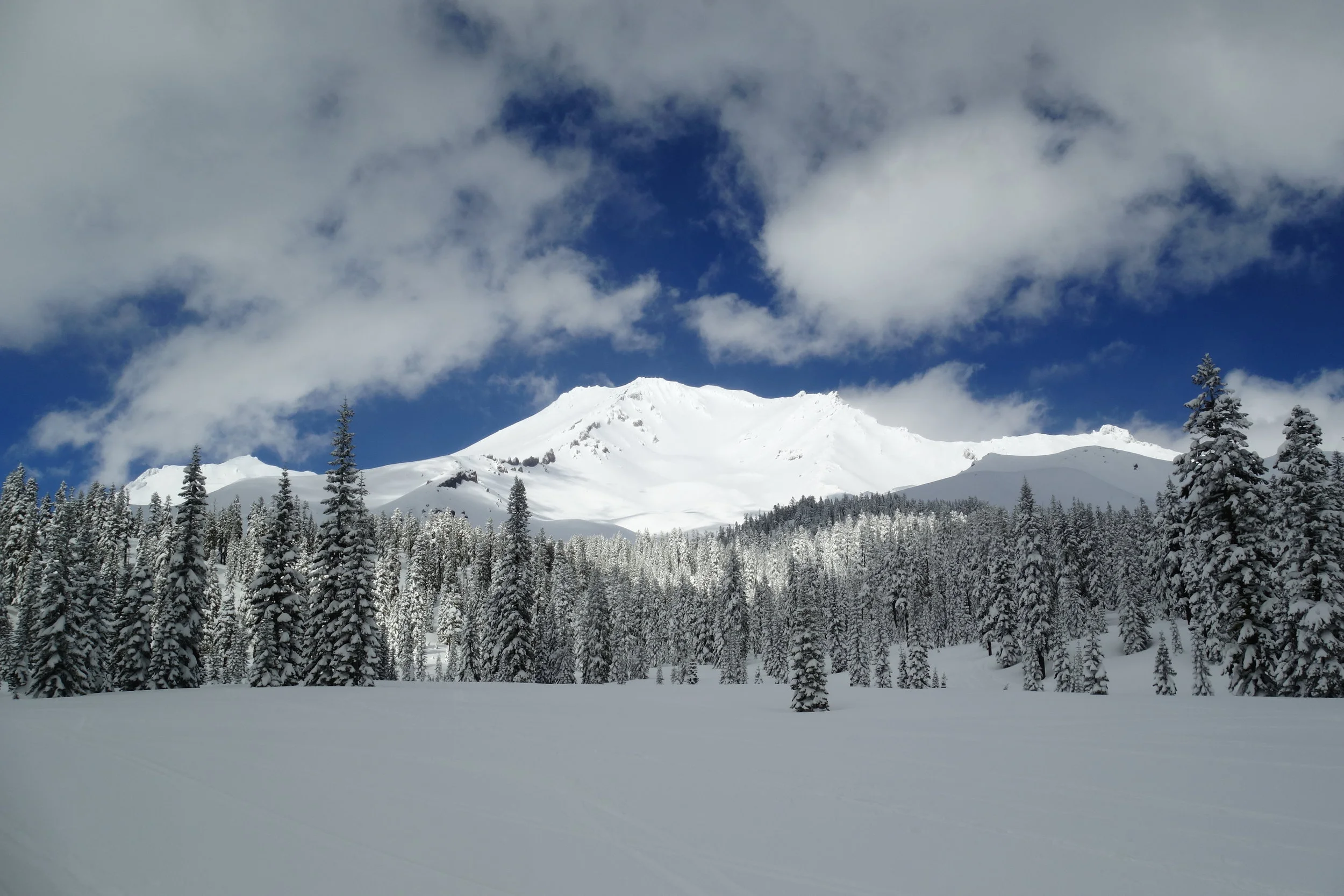 Mt Shasta Spiritual Tours