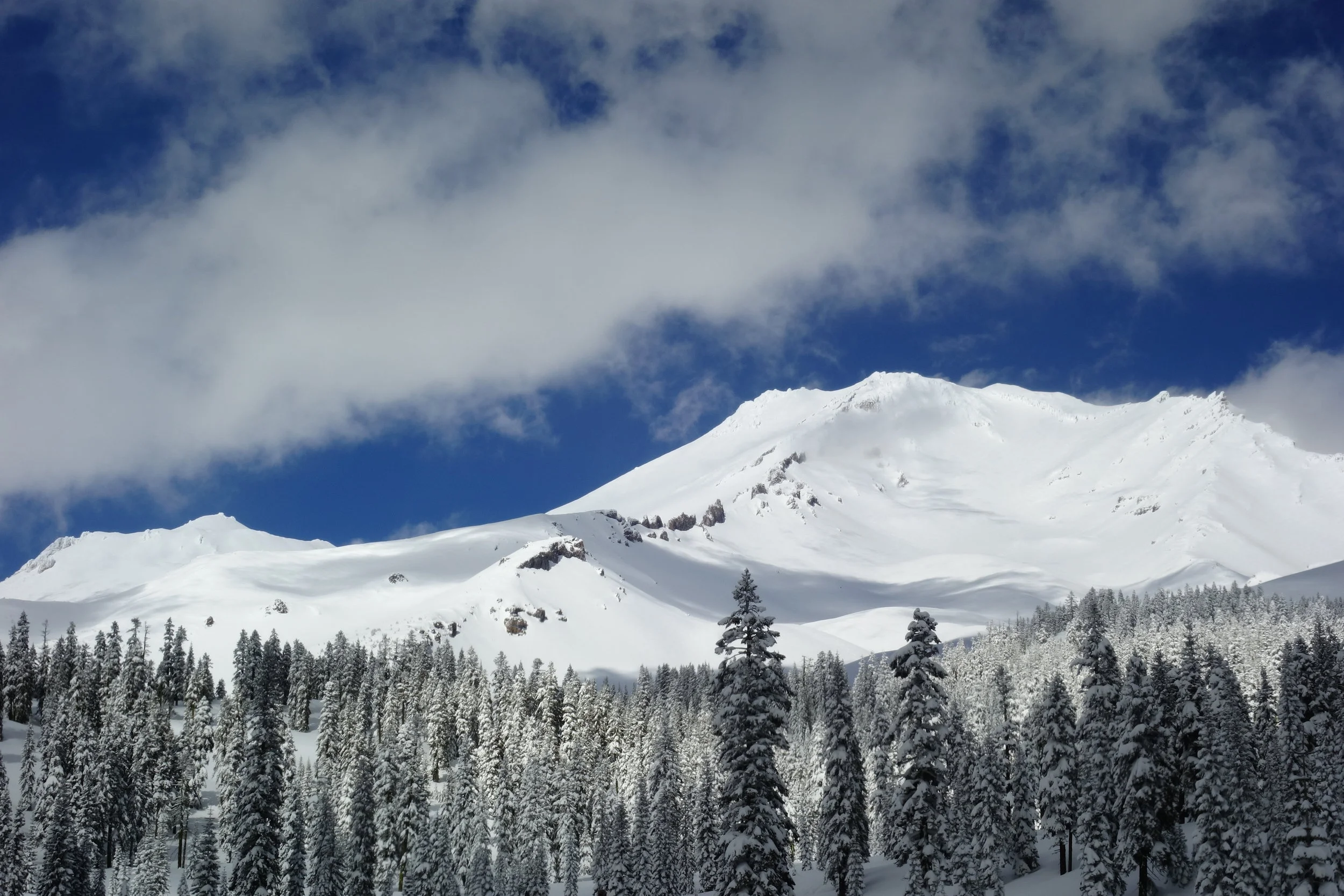 Mt Shasta Spiritual Tours