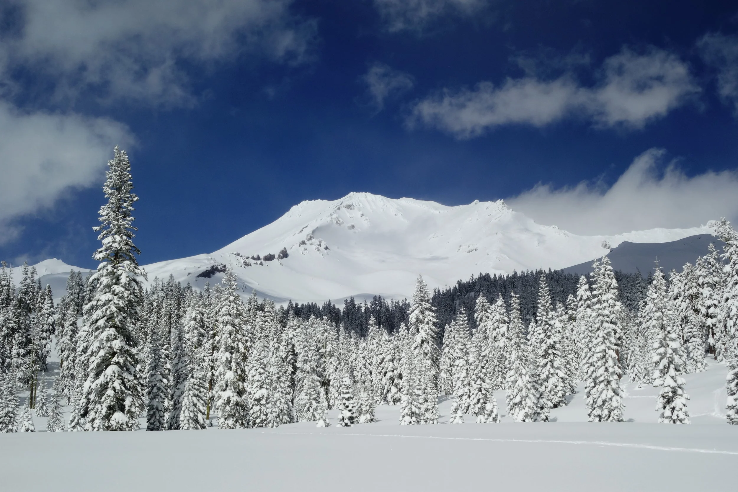 Mt Shasta Spiritual Tours