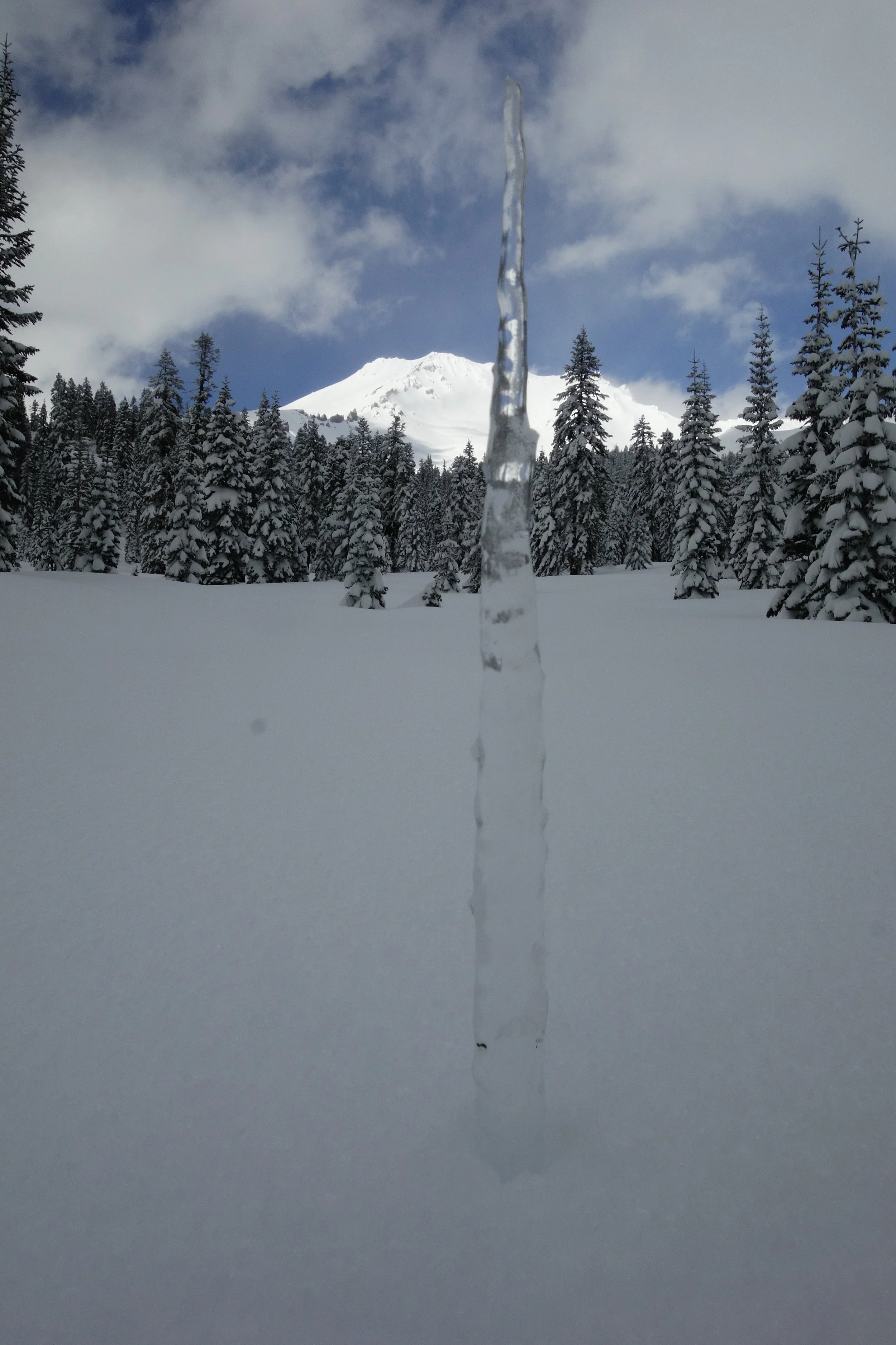 Mt Shasta Spiritual Tours