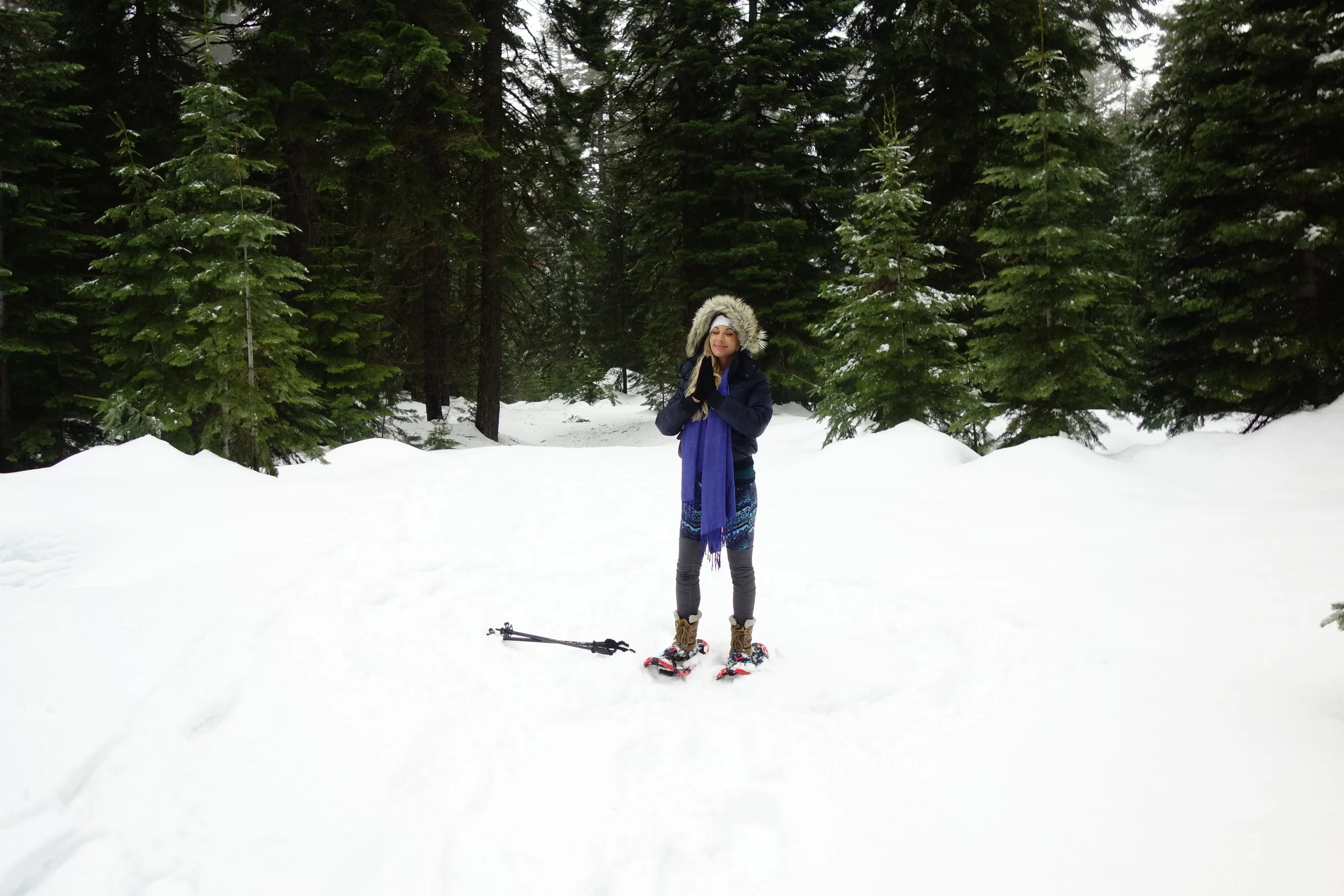 Mt. Shasta Spiritual Tours