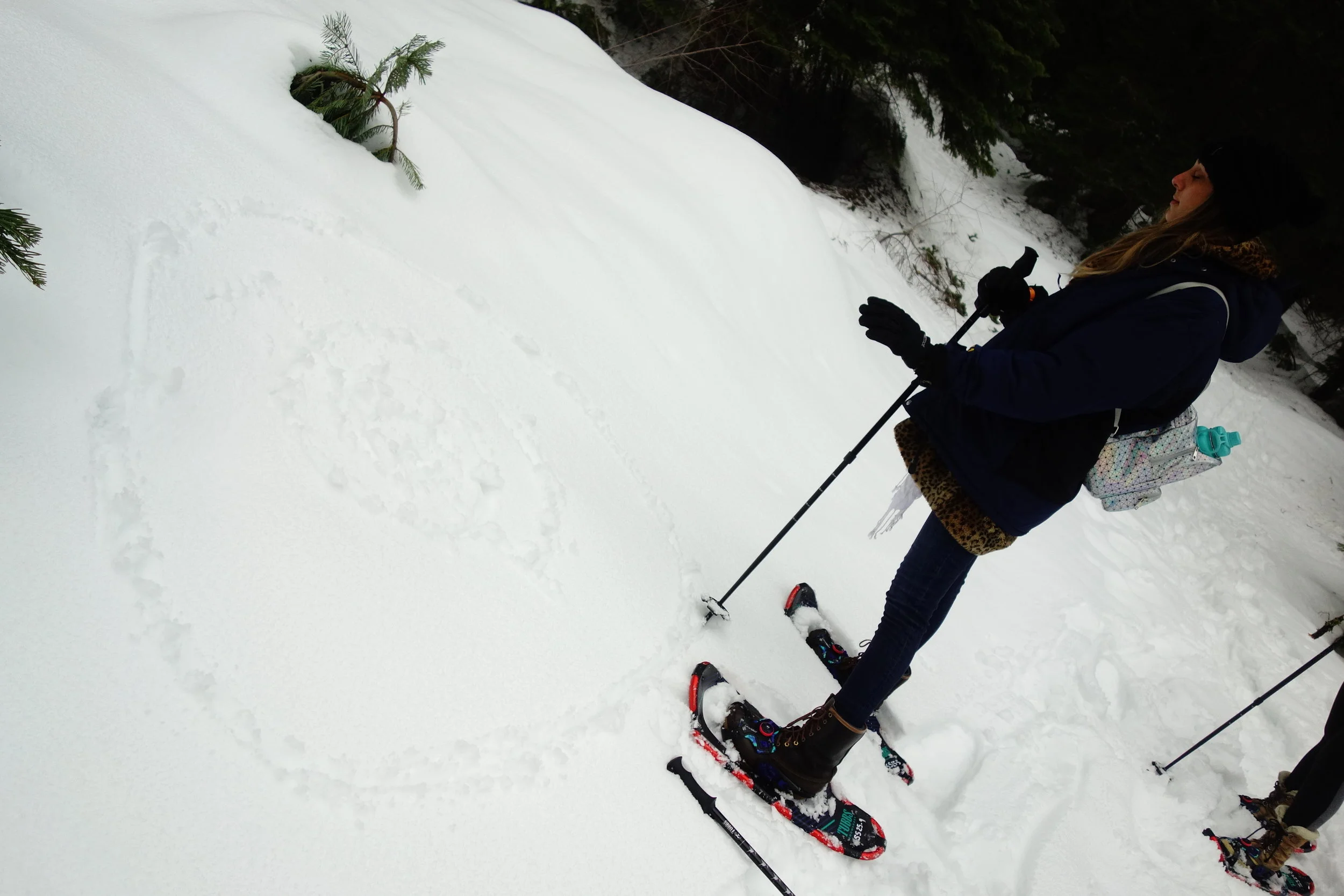 Mt. Shasta Spiritual Tours