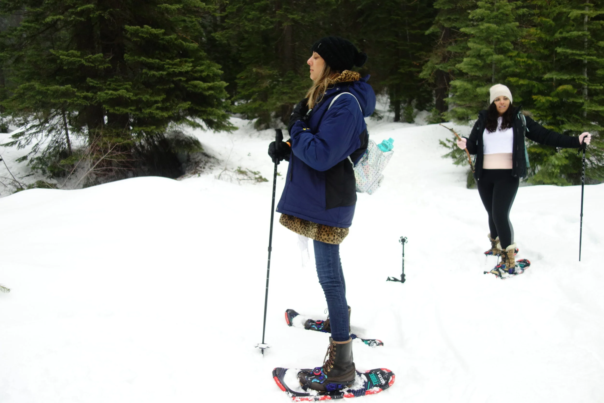 Mt. Shasta Spiritual Tours