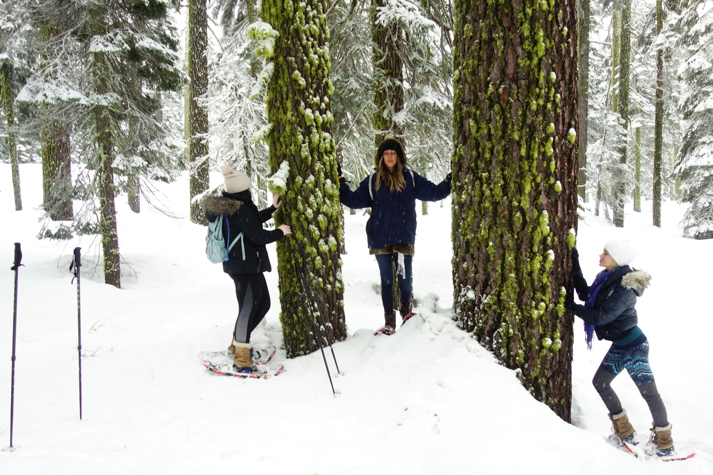 Mt. Shasta Spiritual Tours