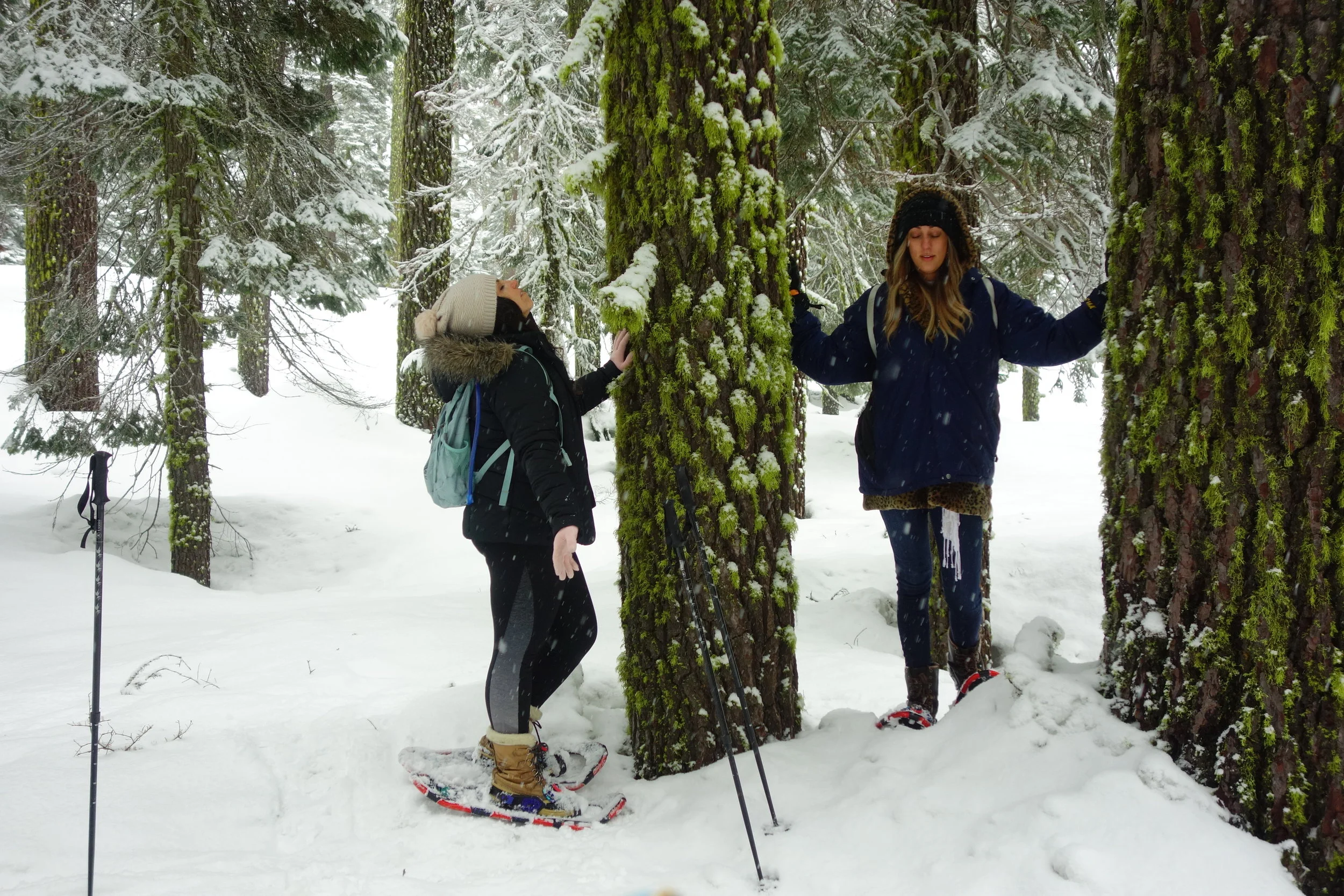 Mt. Shasta Spiritual Tours