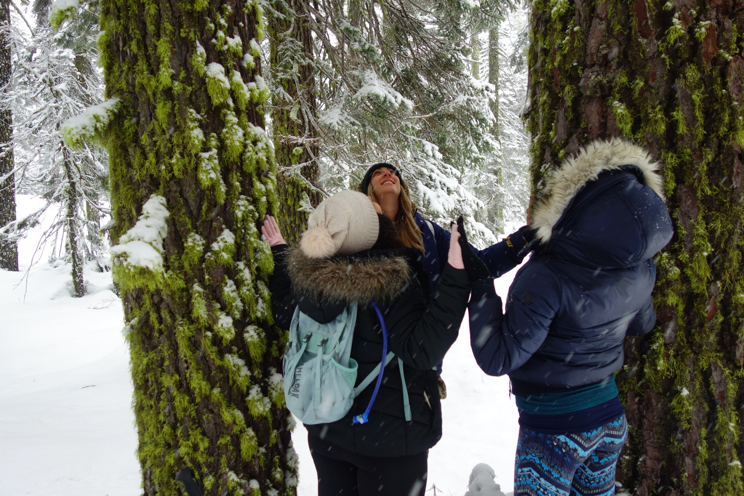 Mt. Shasta Spiritual Tours