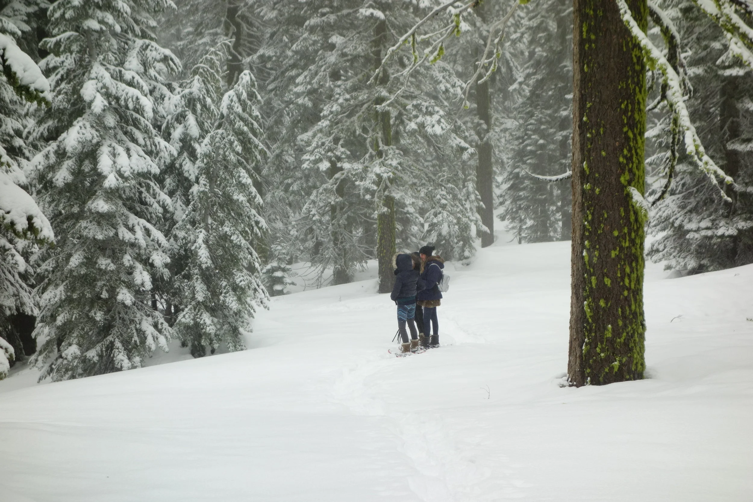 Mt. Shasta Spiritual Tours