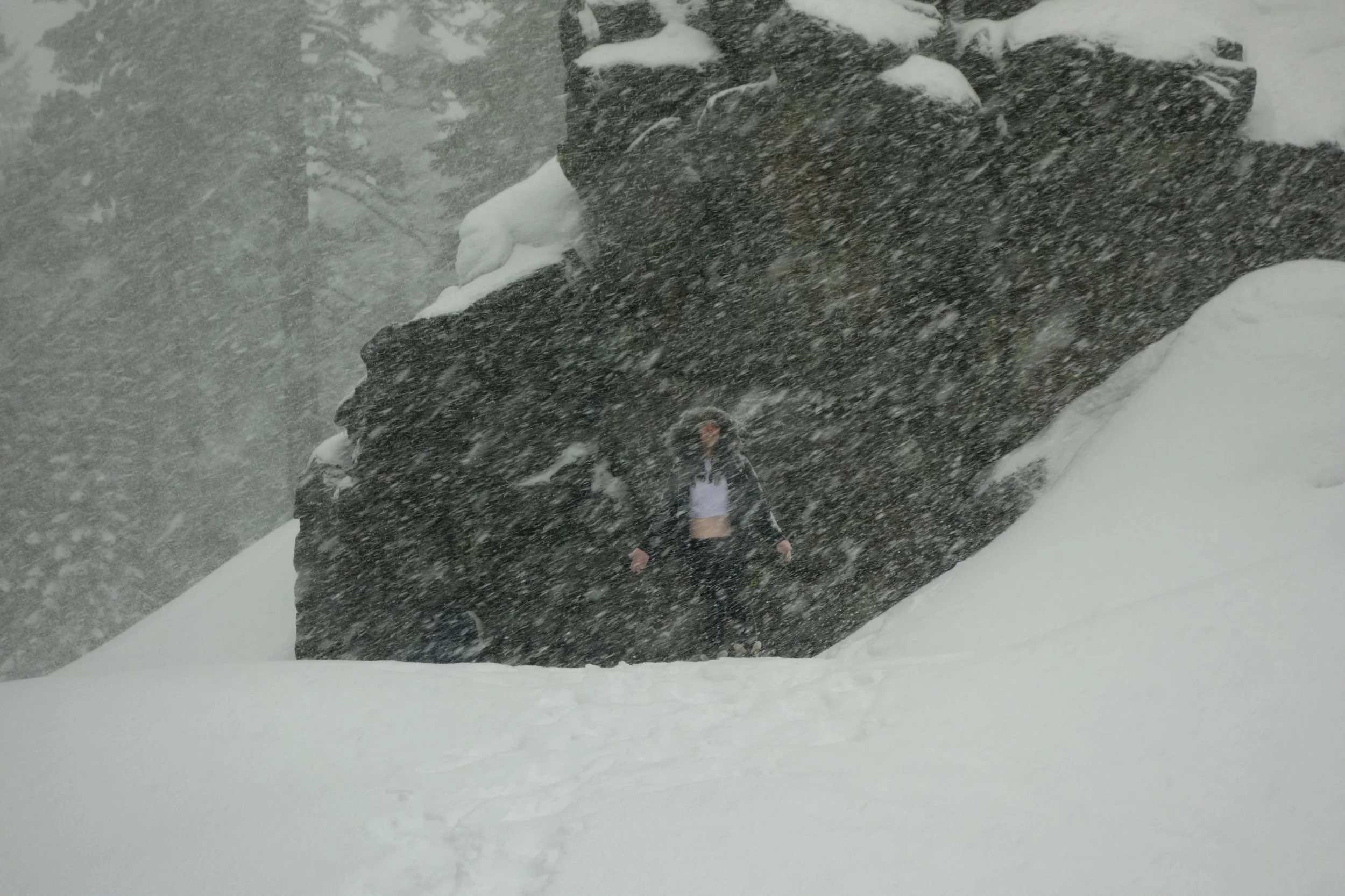 Mt. Shasta Spiritual Tours