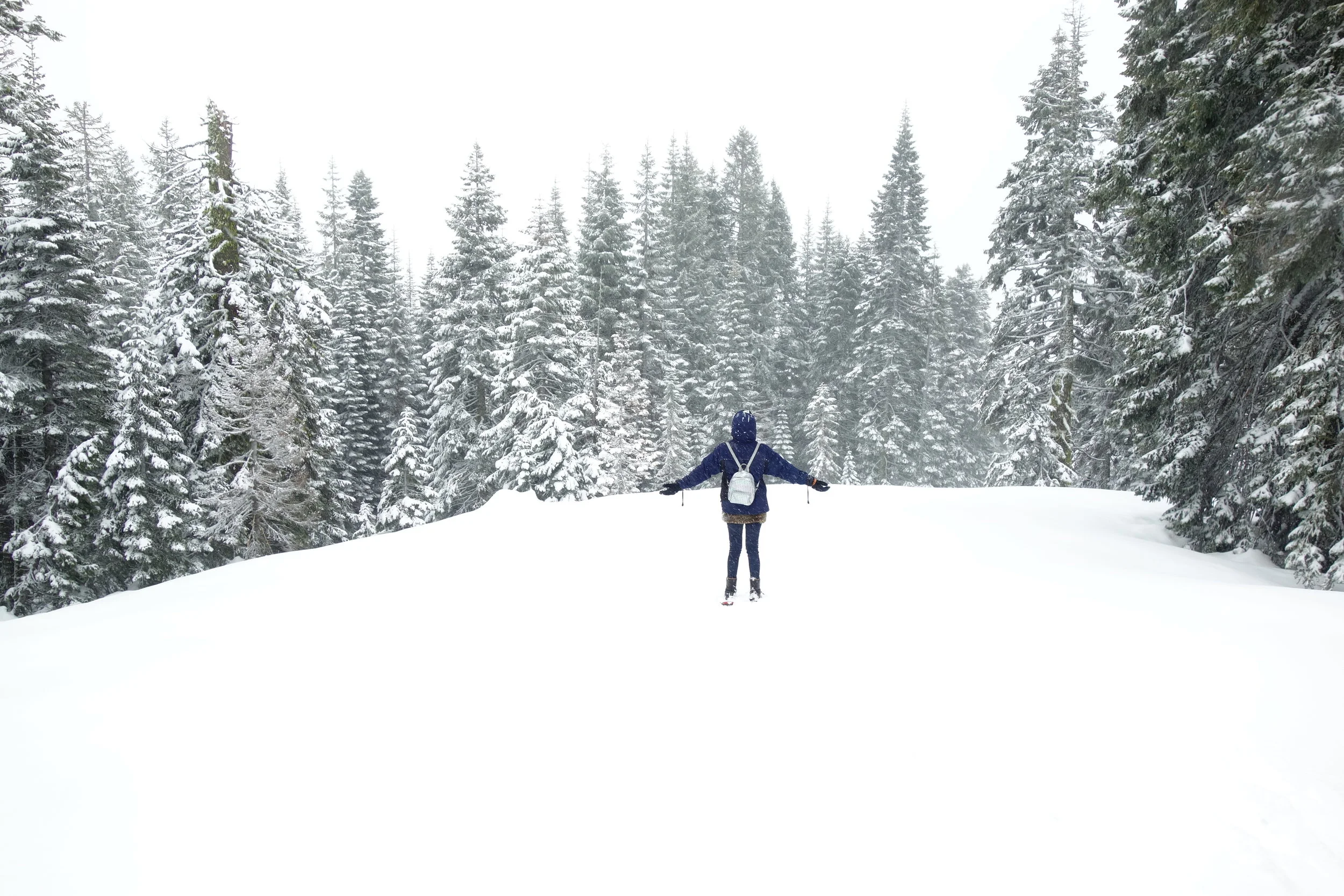 Mt. Shasta Spiritual Tours