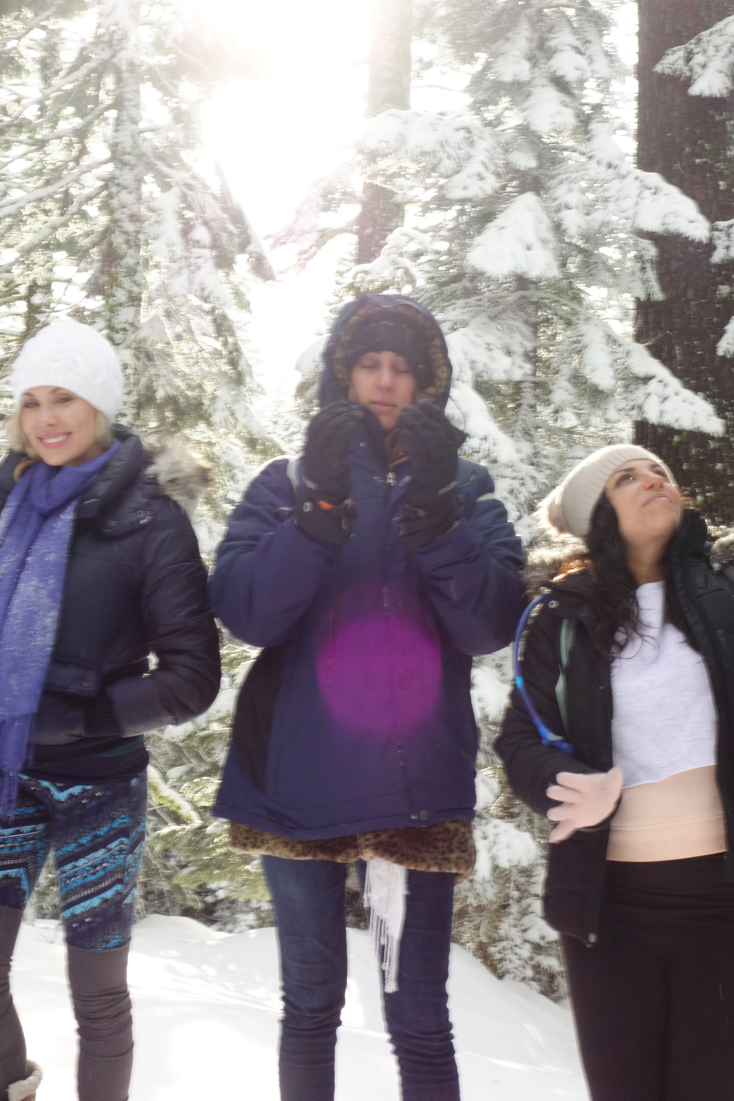 Mt. Shasta Spiritual Tours