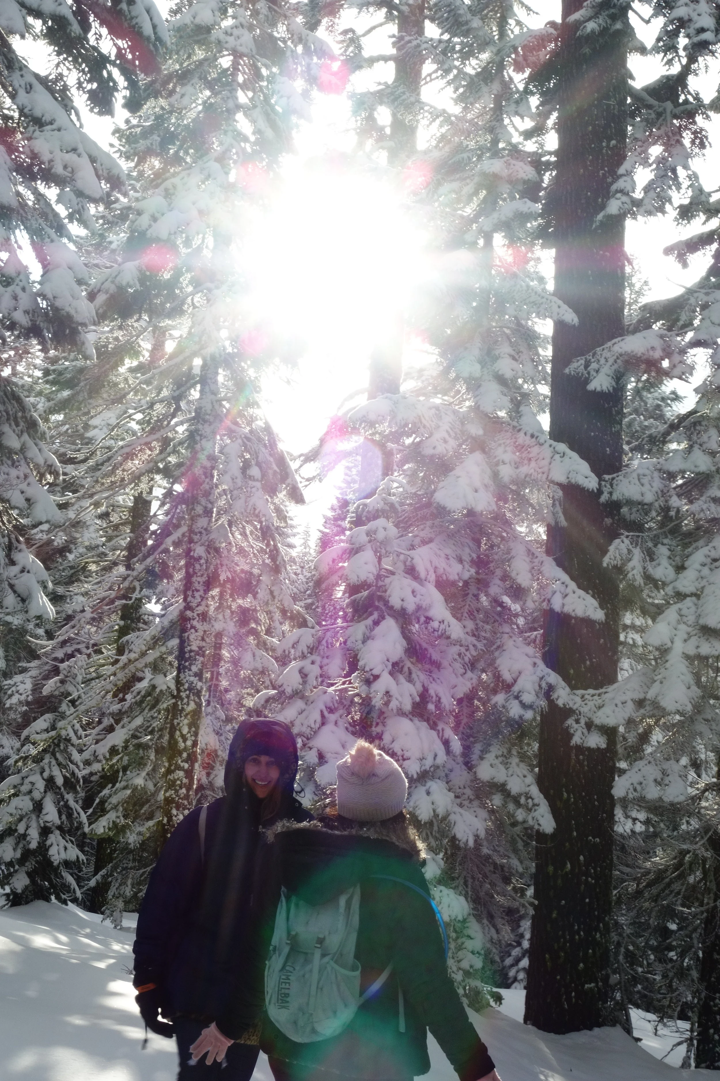 Mt. Shasta Spiritual Tours