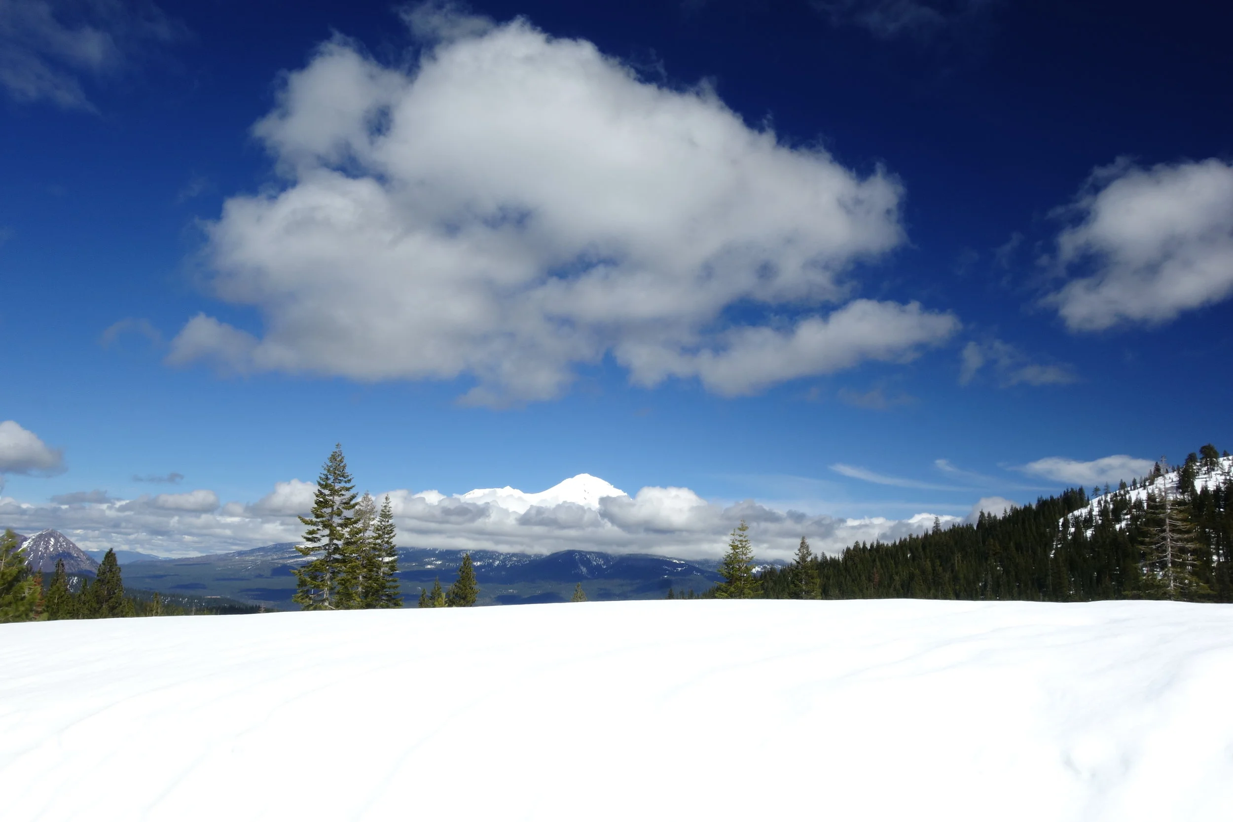 Mt. Shasta Spiritual Tours