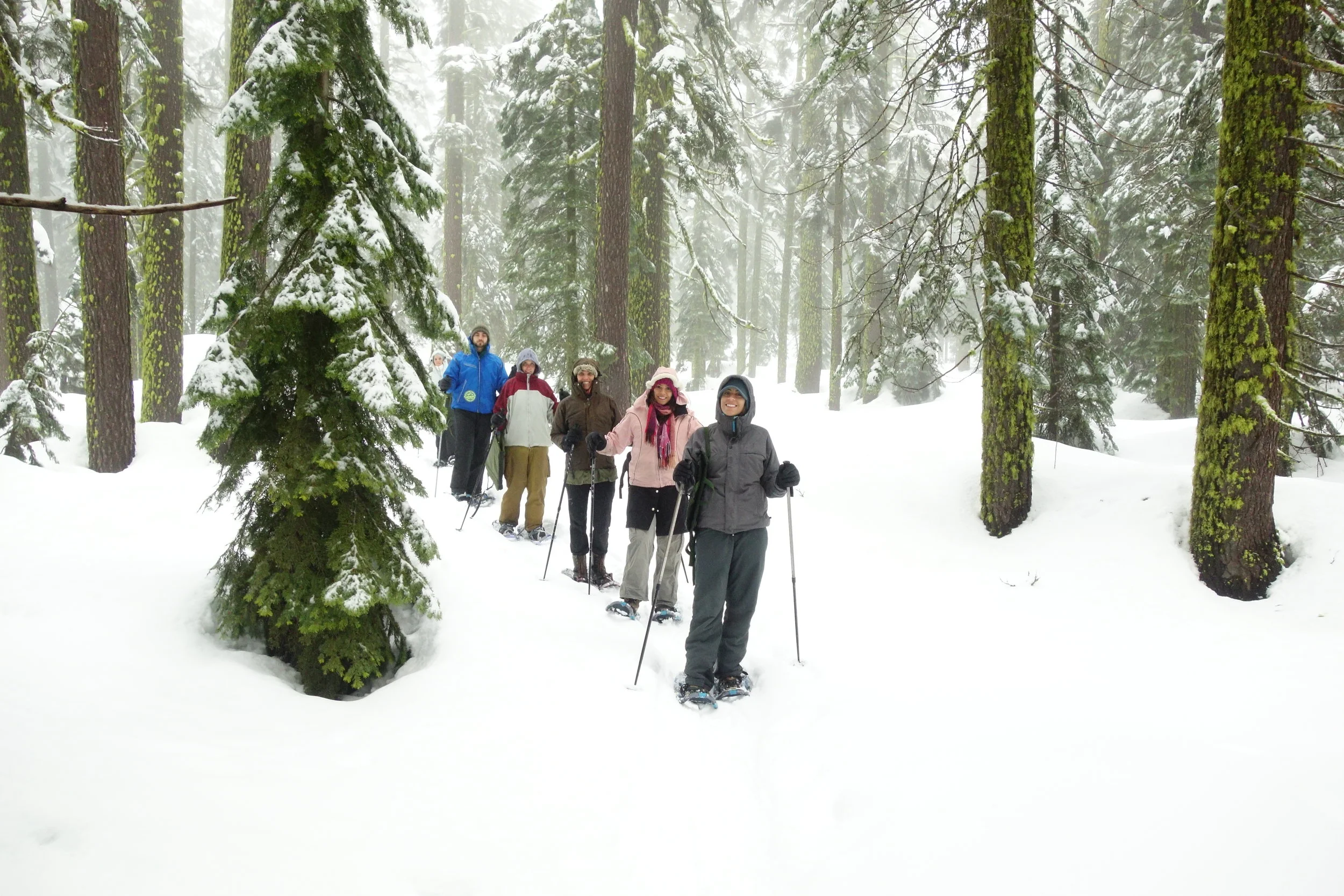 Mt Shasta Spiritual Tours