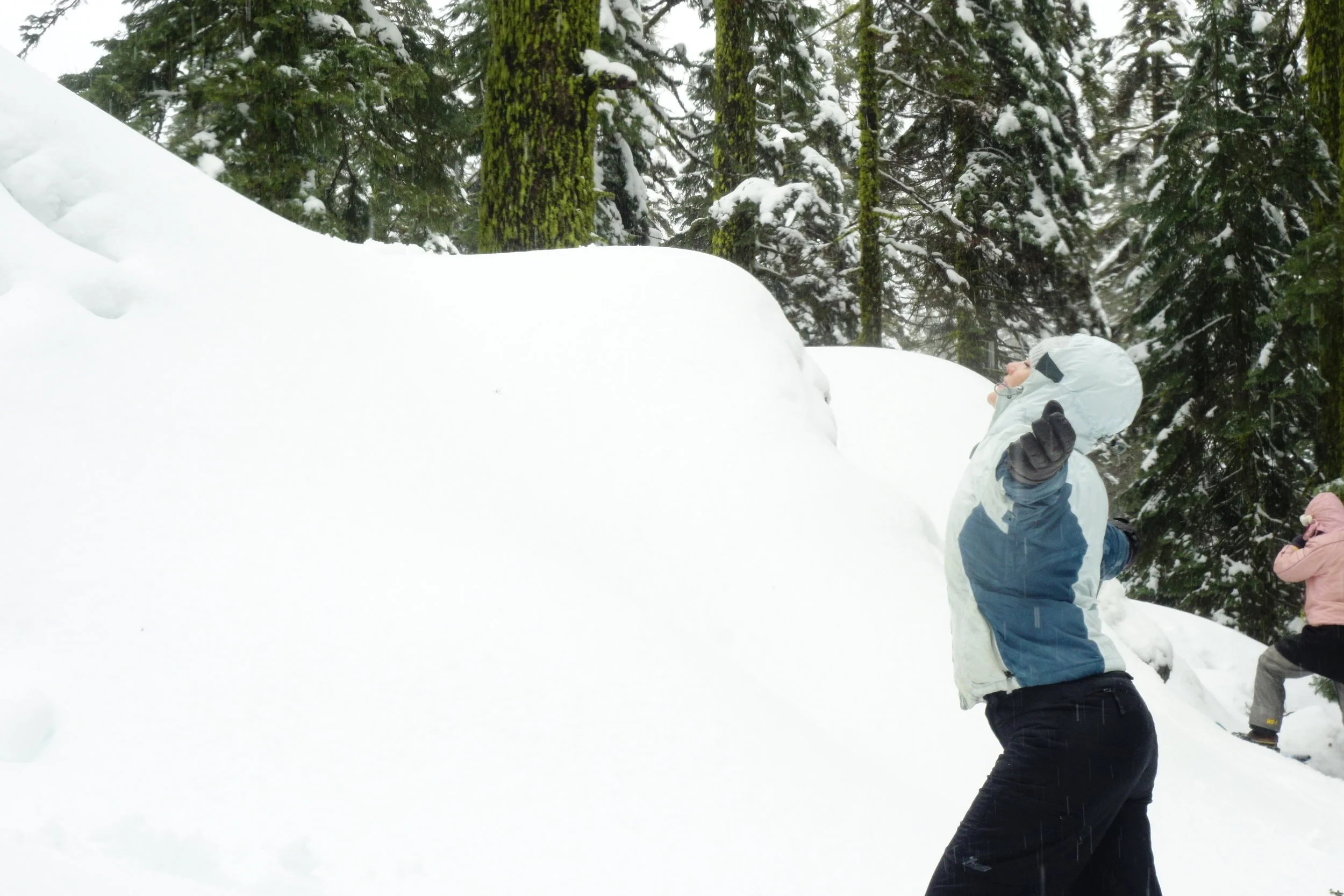 Mt Shasta Spiritual Tours