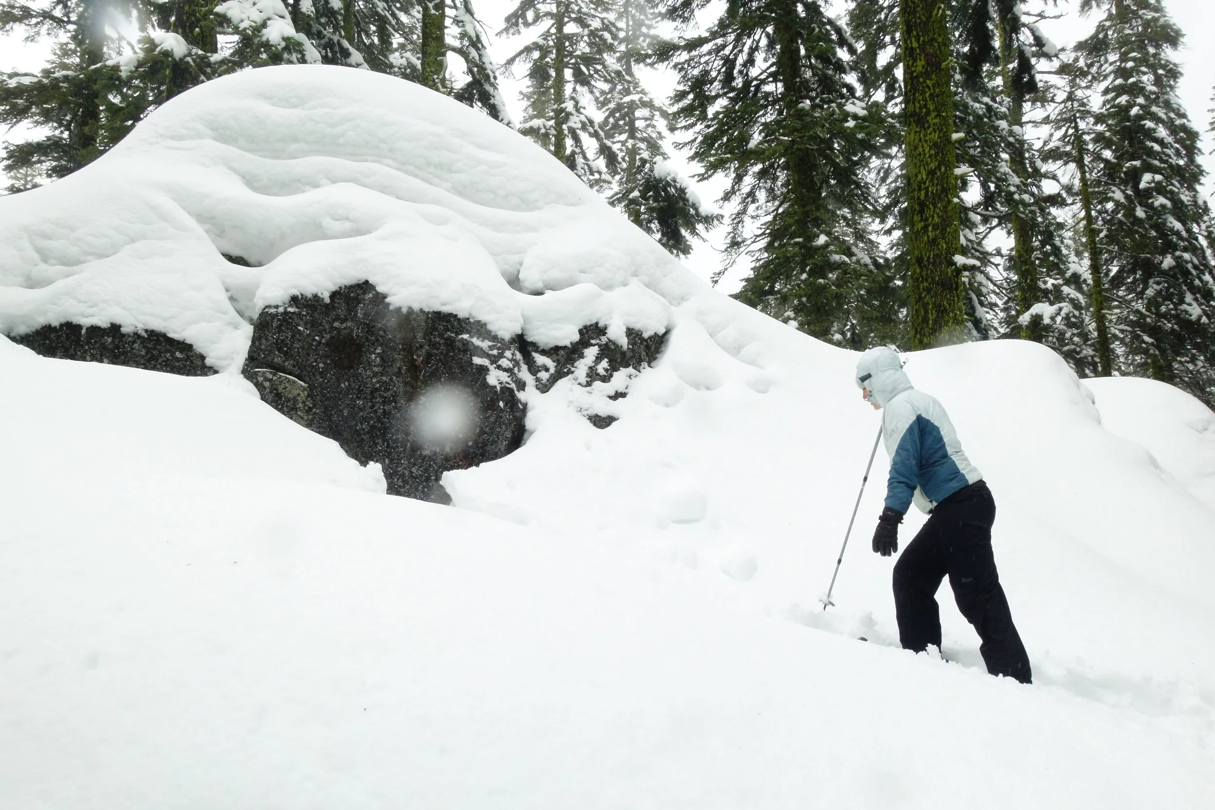 Mt Shasta Spiritual Tours