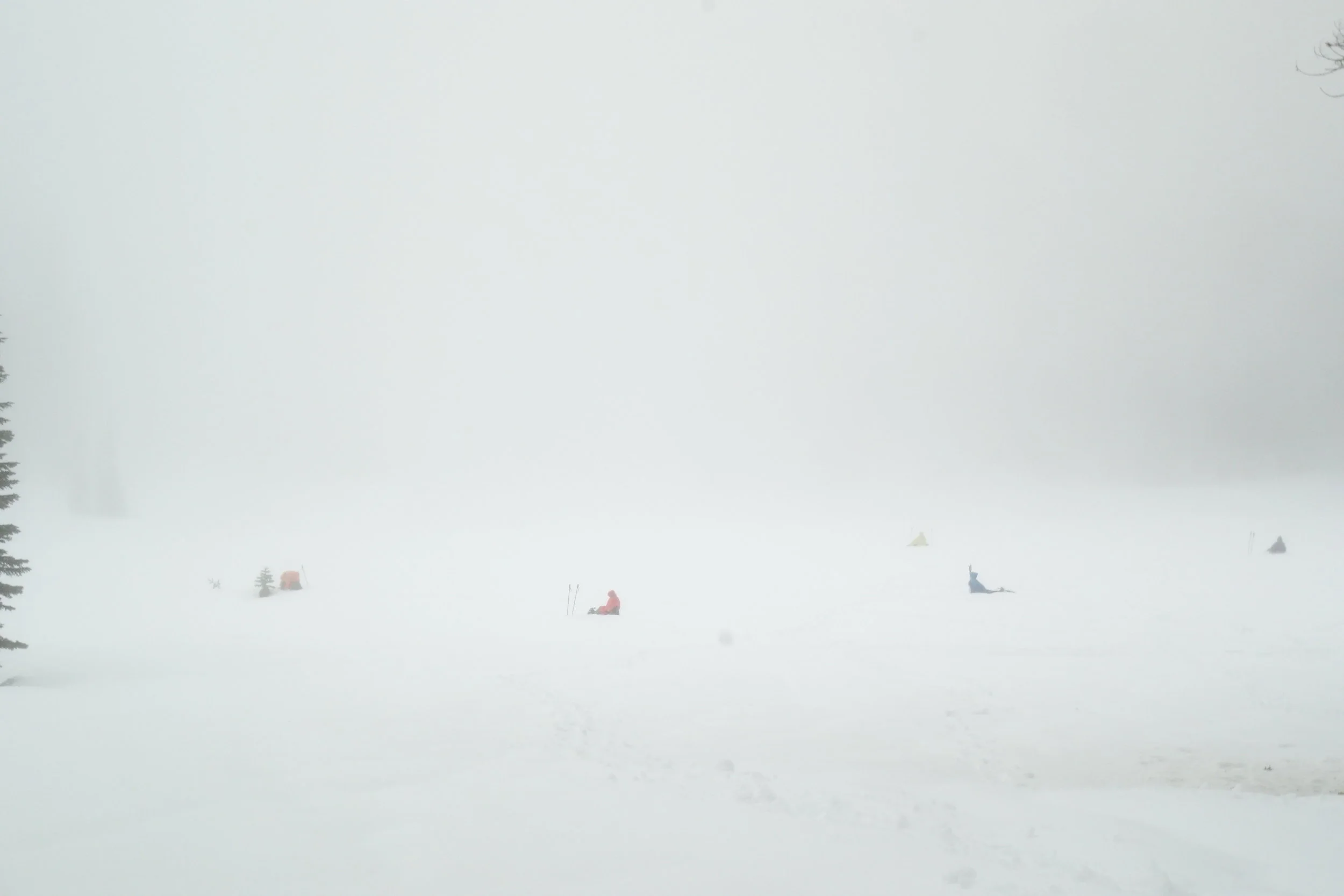 Mt Shasta Spiritual Tours