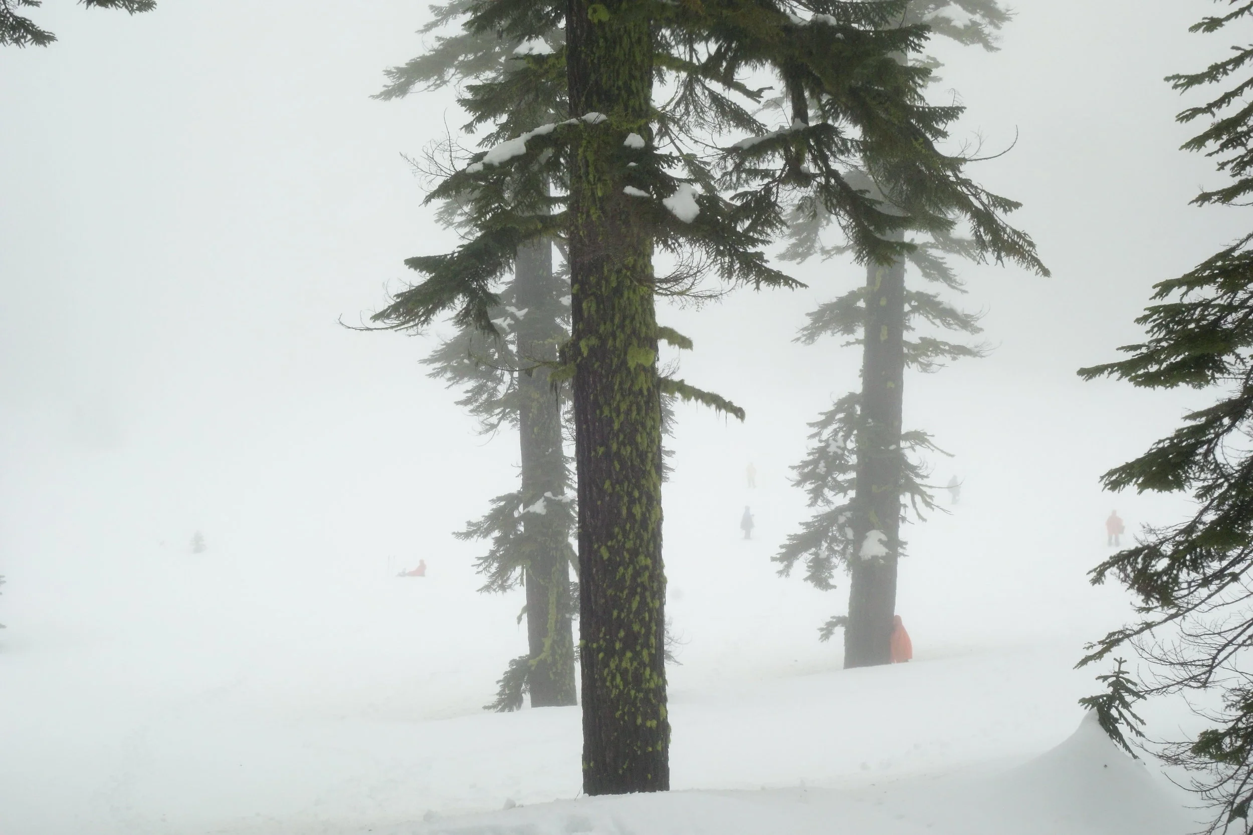 Mt Shasta Spiritual Tours