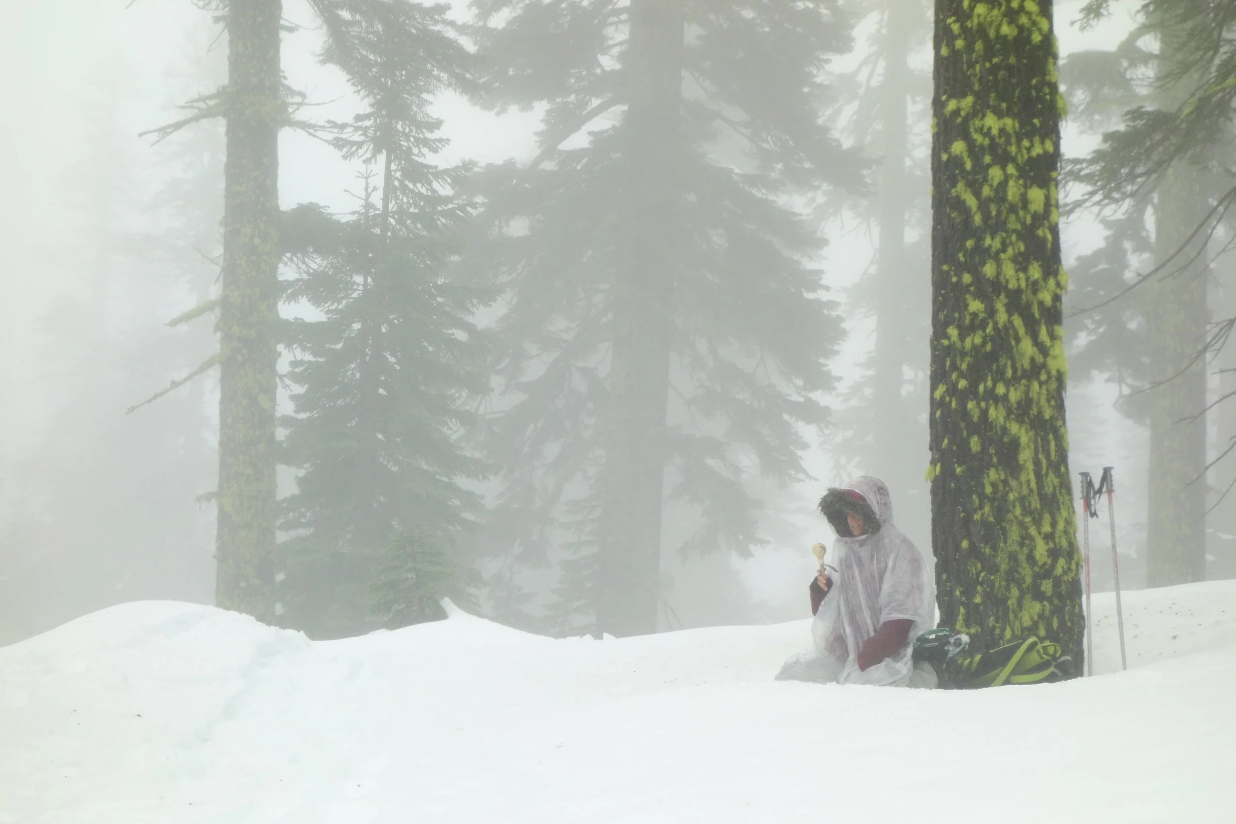 Mt Shasta Spiritual Tours