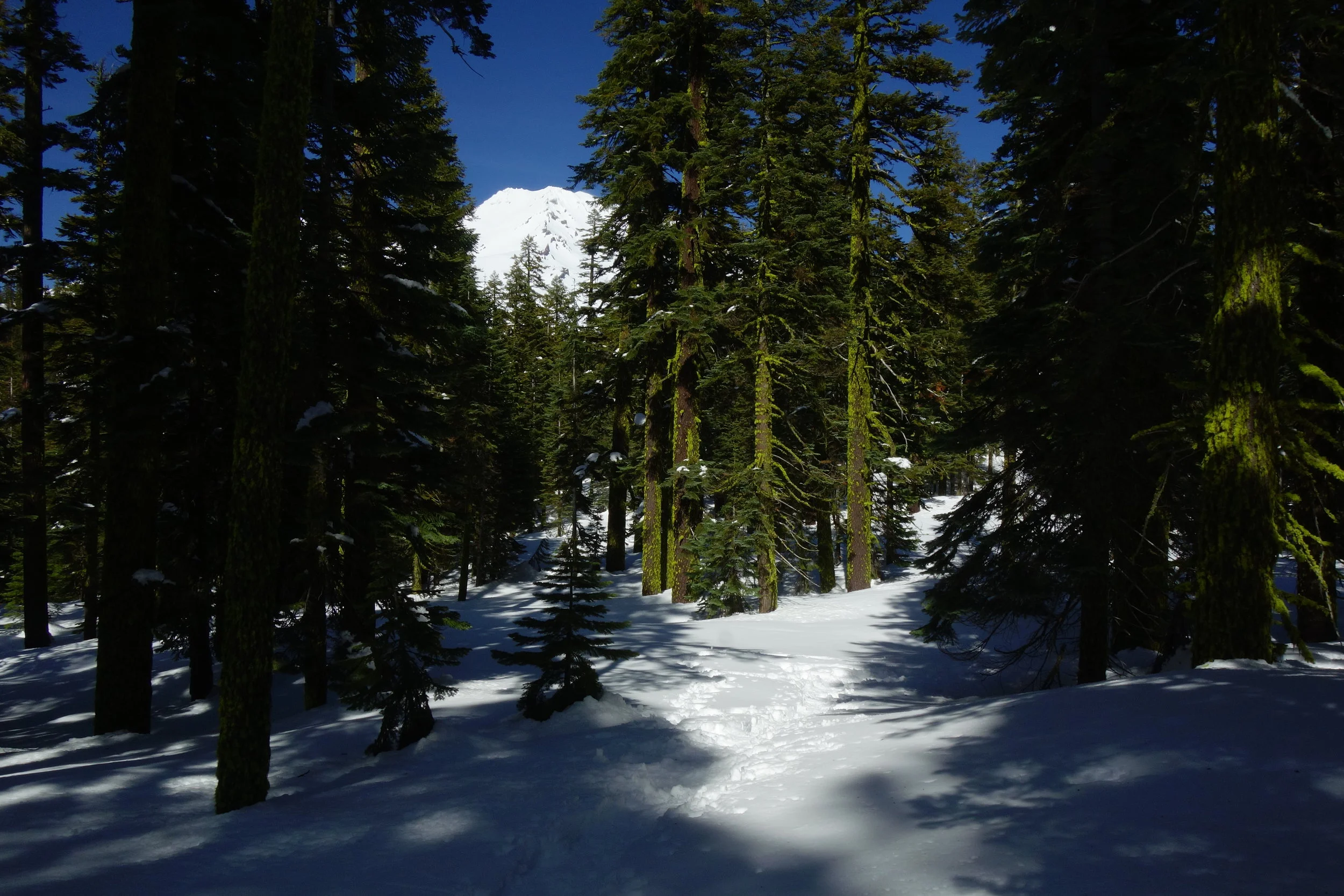 Mt Shasta Spiritual Tours