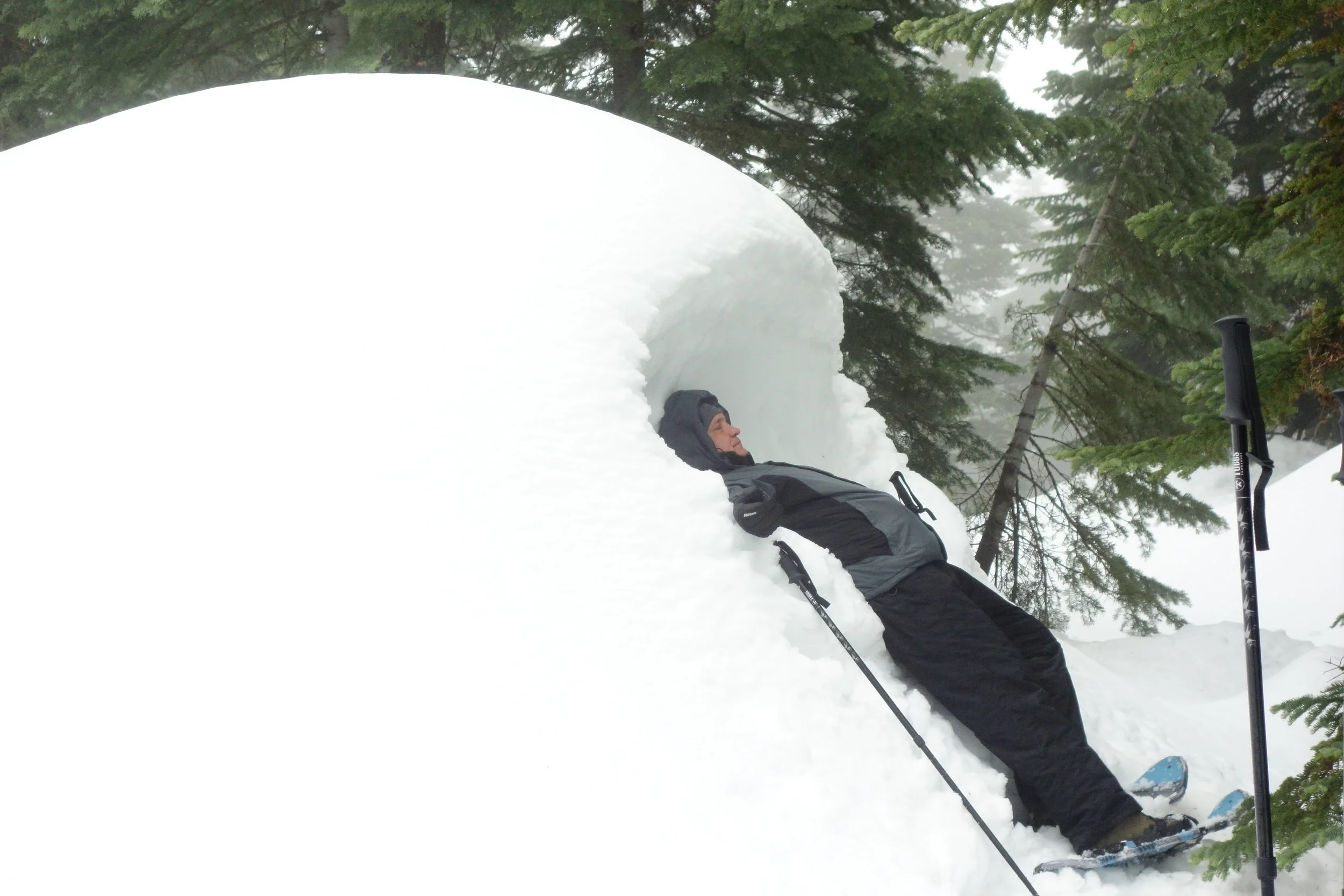 Mt Shasta Spiritual Tours