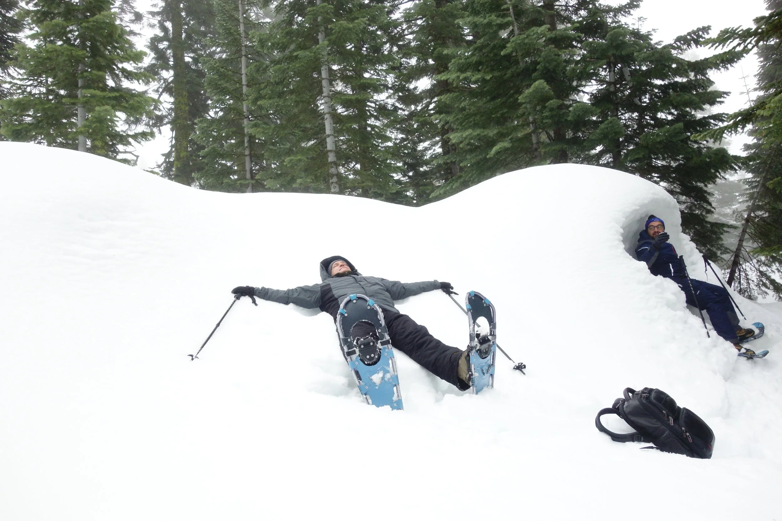 Mt Shasta Spiritual Tours