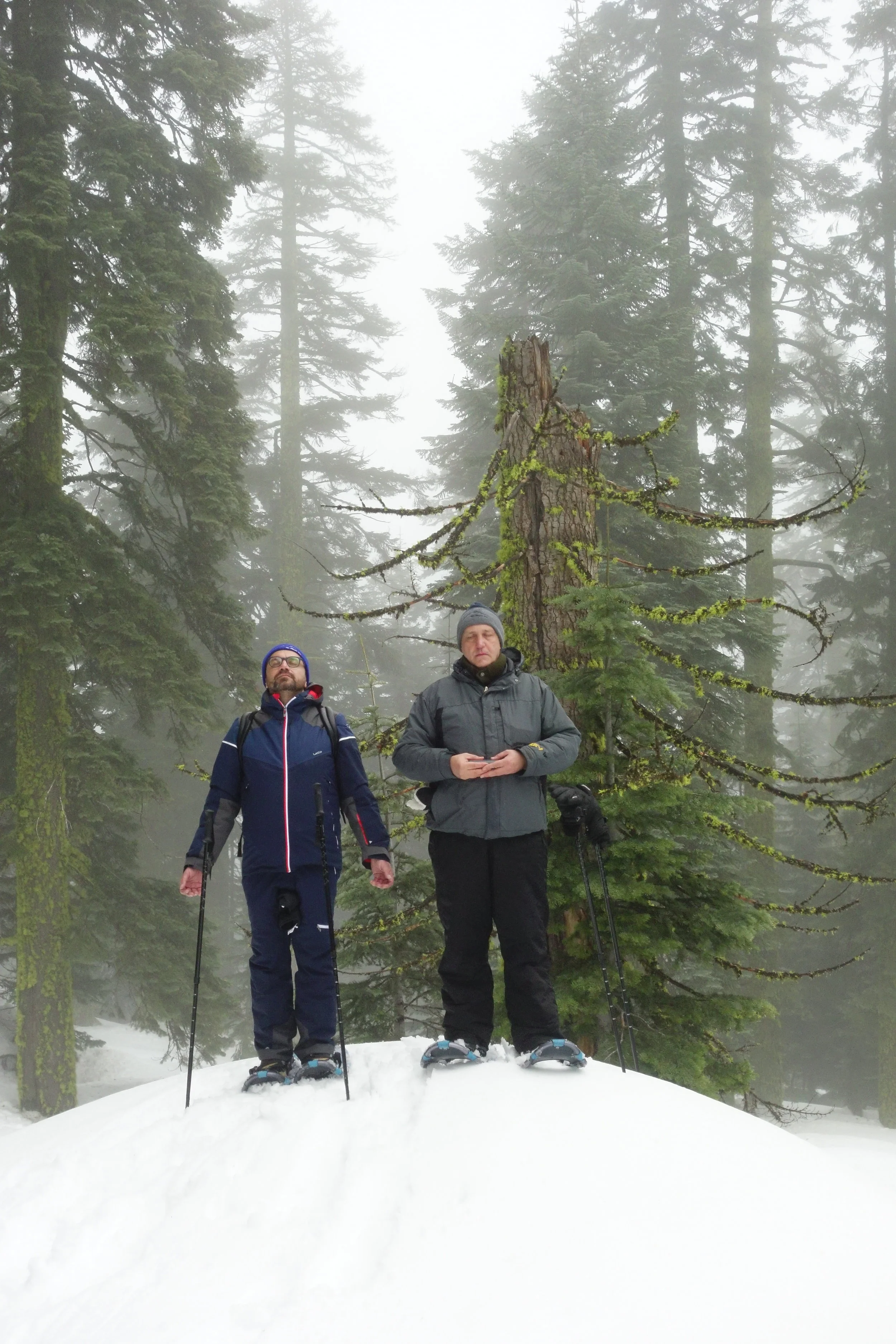 Mt Shasta Spiritual Tours