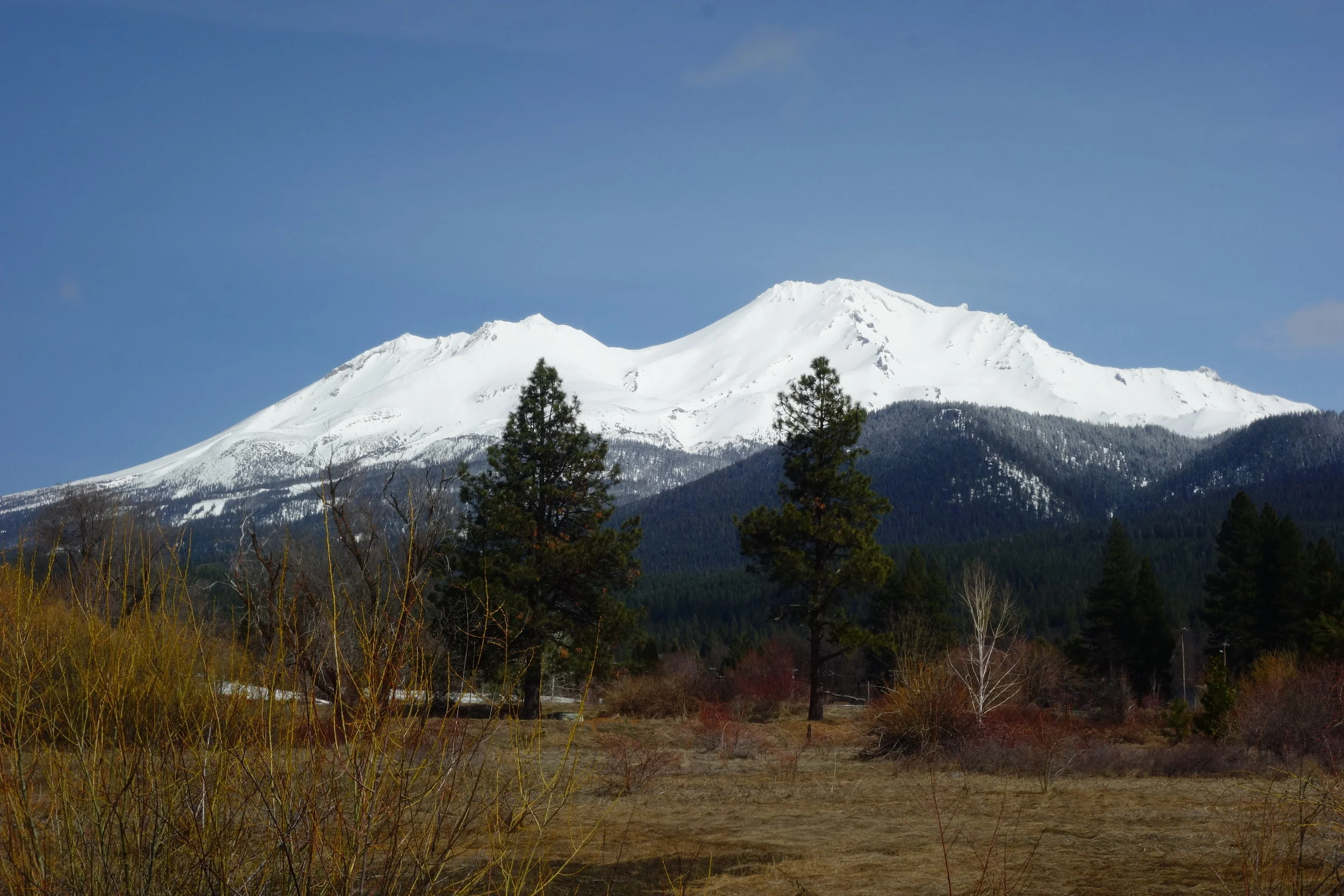 Mt Shasta Spiritual Tours