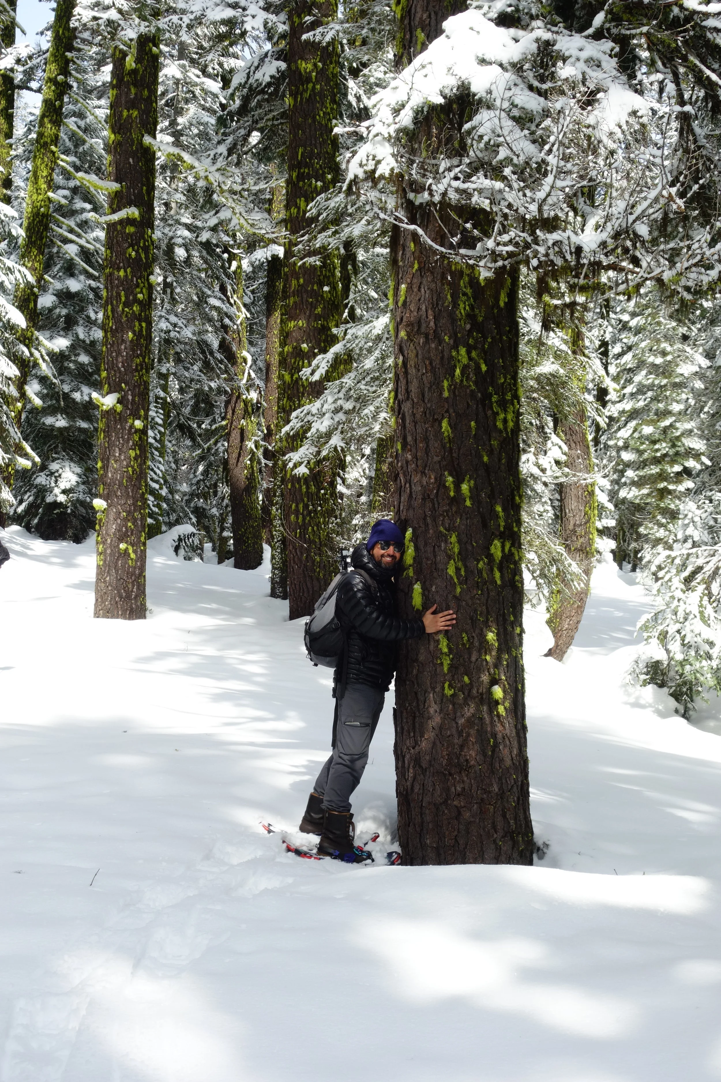 Mt Shasta Spiritual Tours