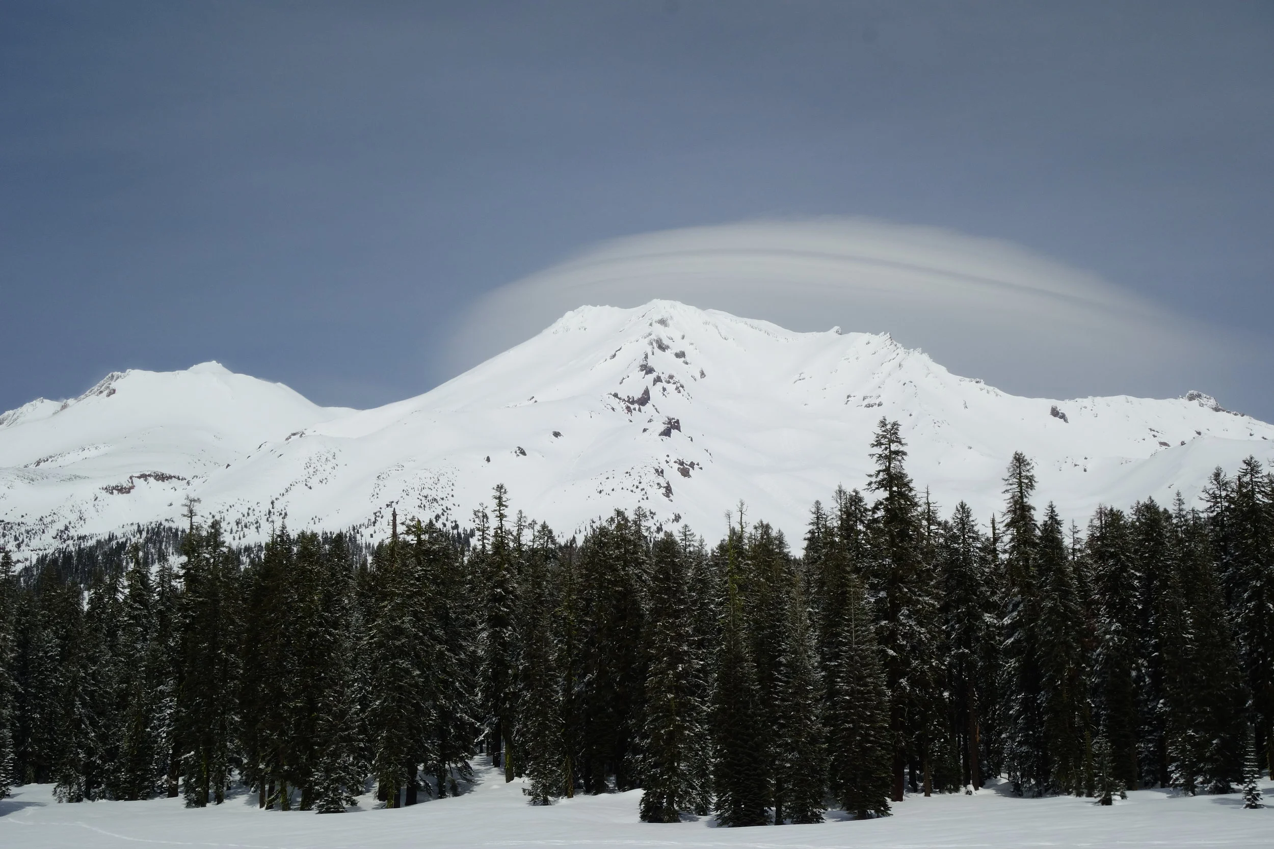 Mt Shasta Spiritual Tours