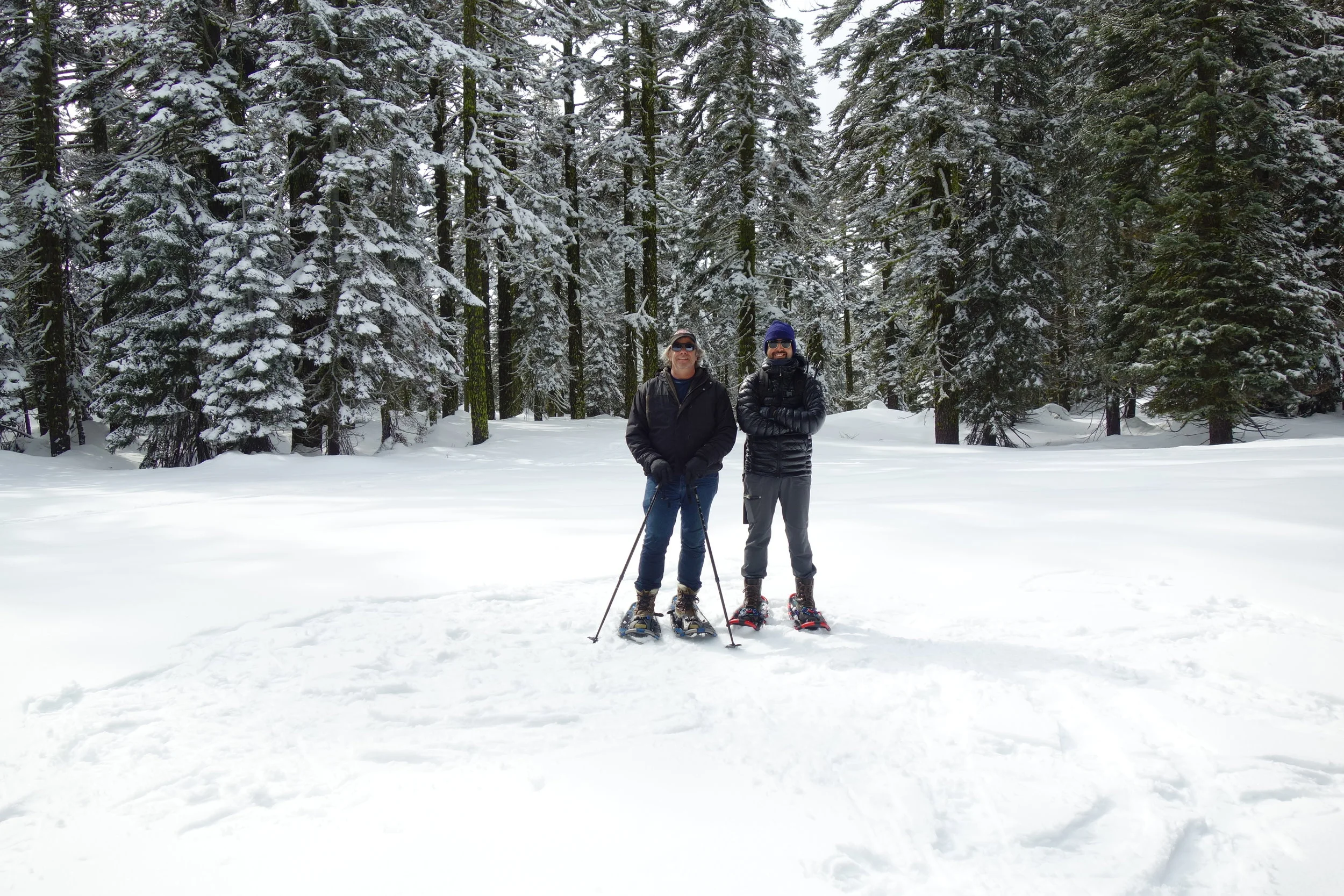 Mt Shasta Spiritual Tours
