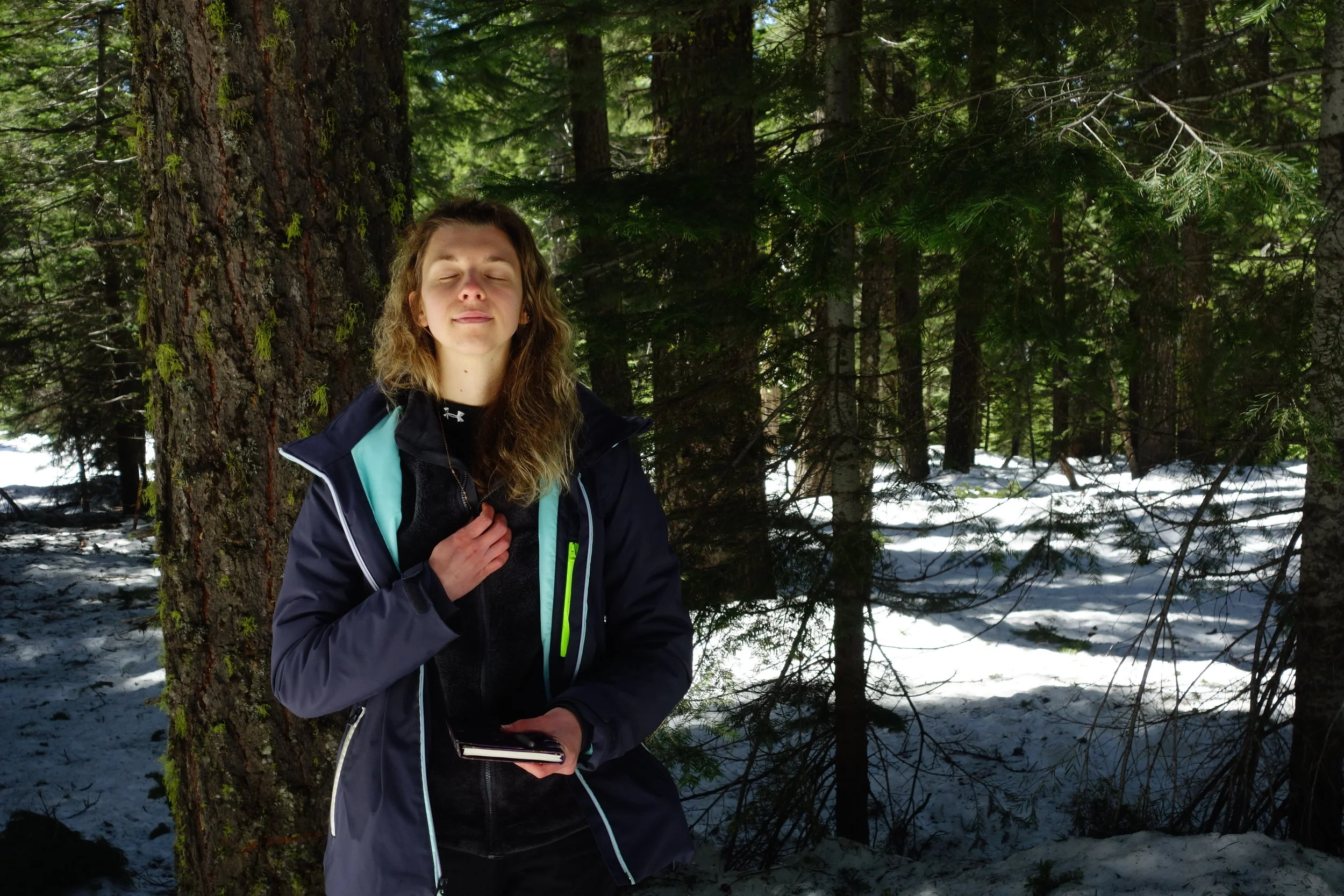 Mt Shasta Spiritual Tours