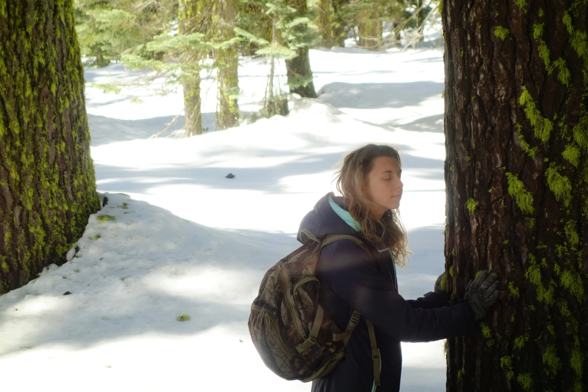 Mt Shasta Spiritual Tours