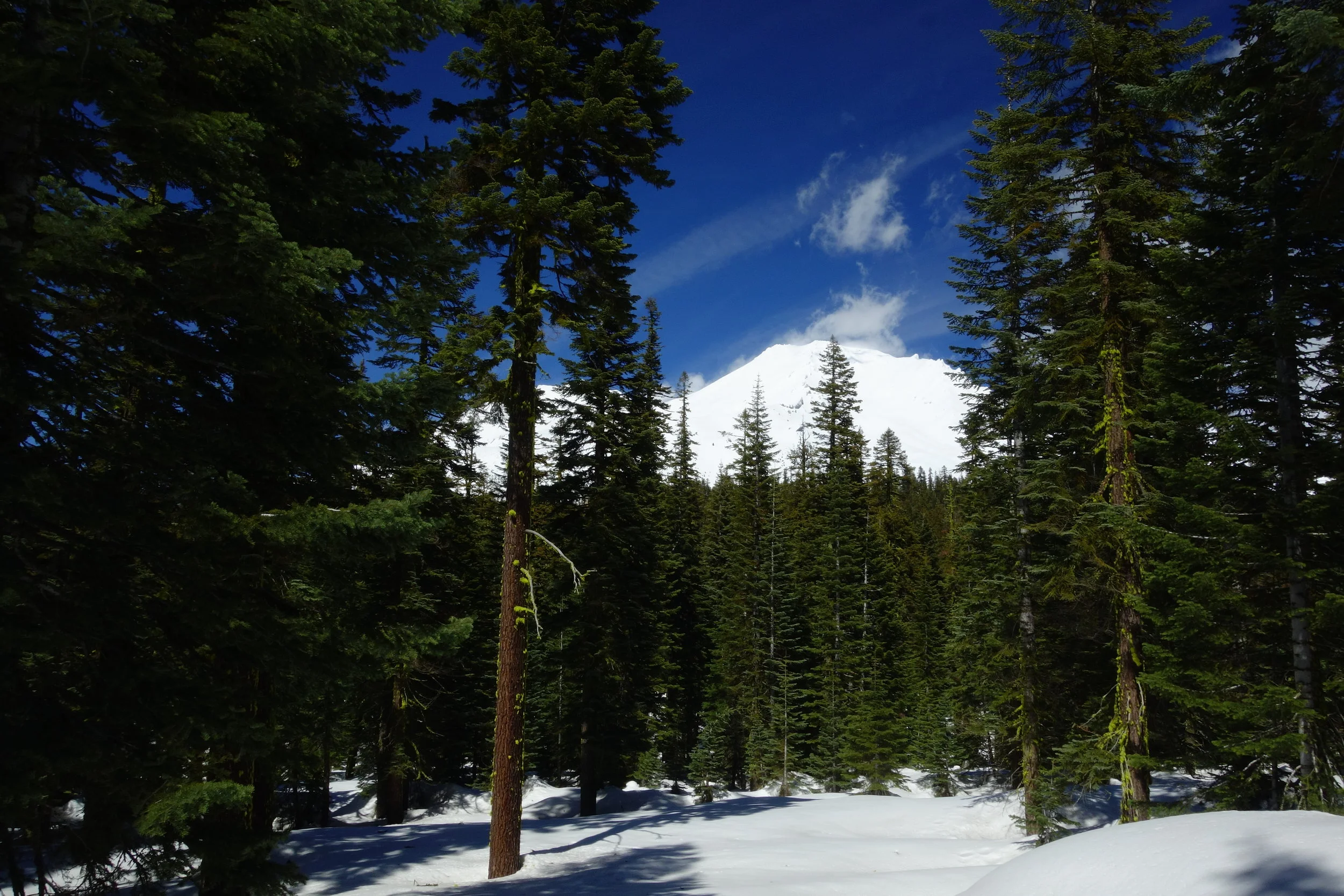 Mt Shasta Spiritual Tours