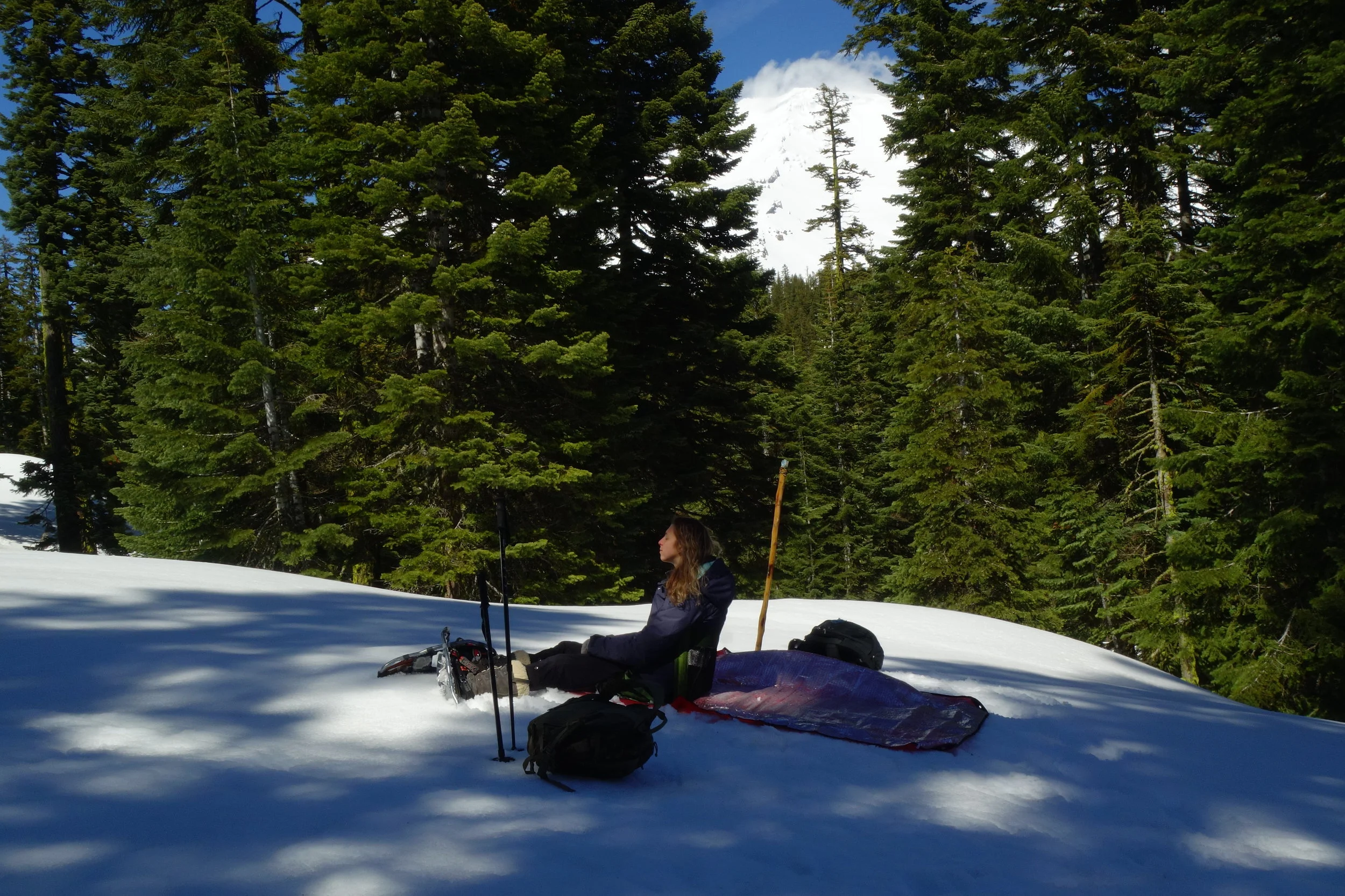 Mt Shasta Spiritual Tours