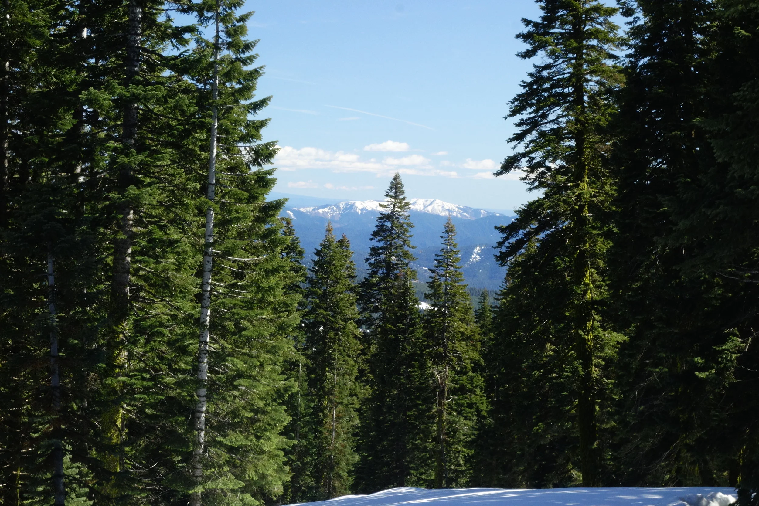 Mt Shasta Spiritual Tours