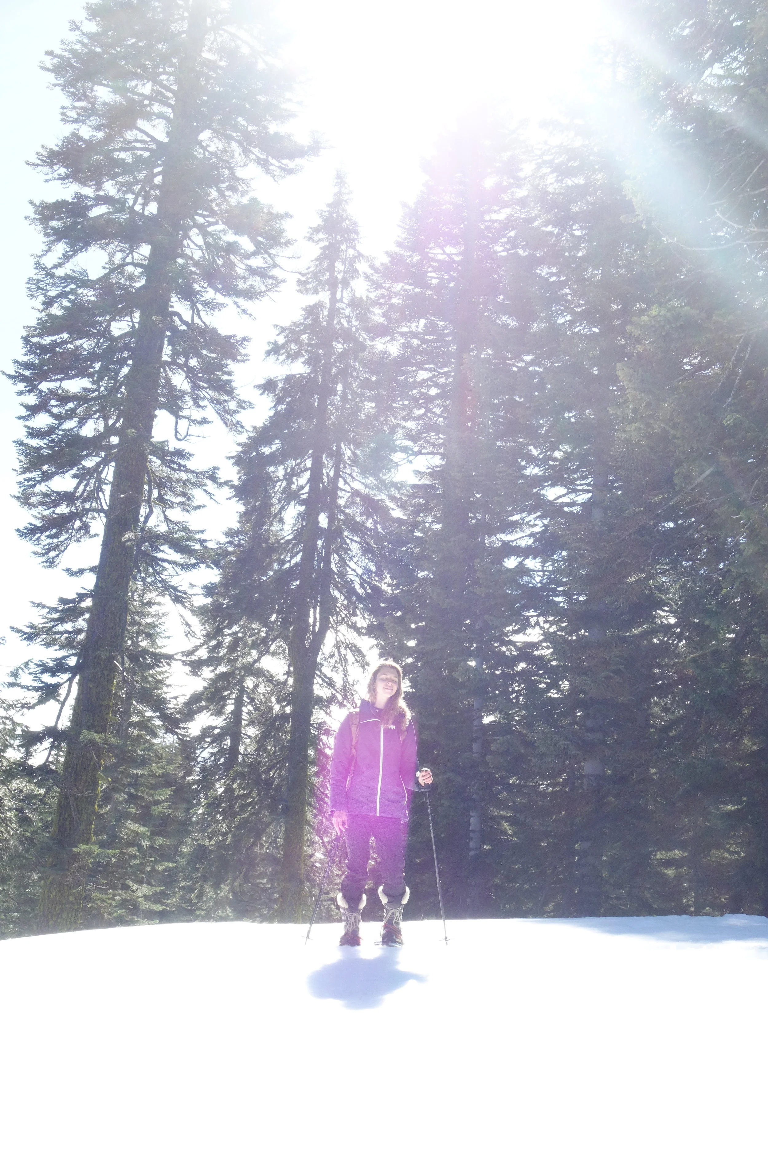 Mt Shasta Spiritual Tours