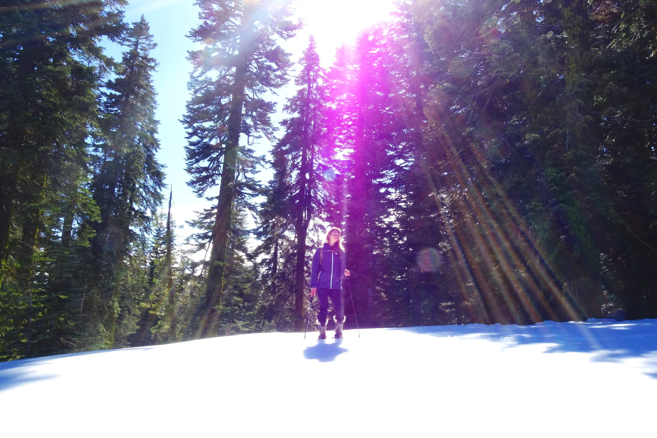 Mt Shasta Spiritual Tours