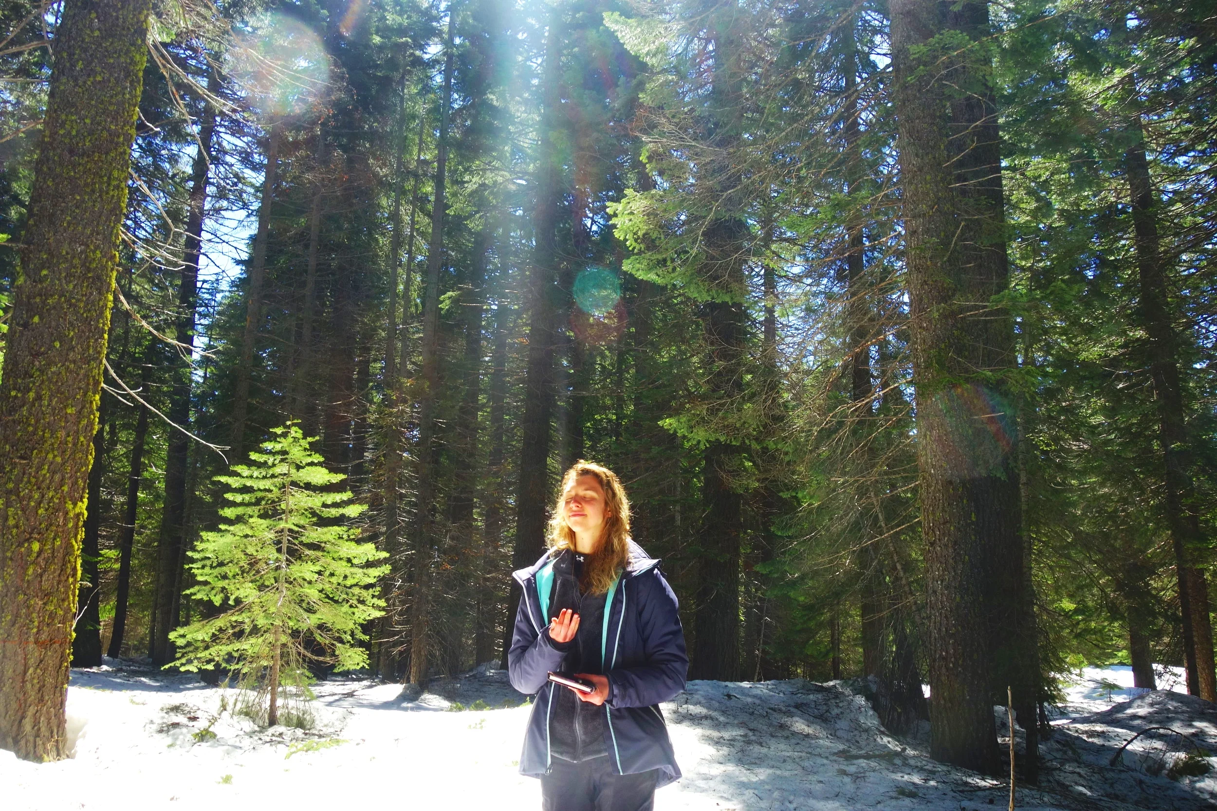 Mt Shasta Spiritual Tours