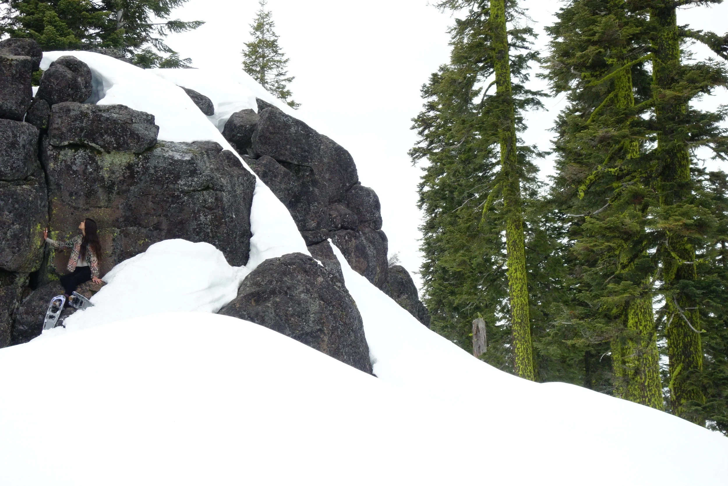 Mt Shasta Spiritual Tours