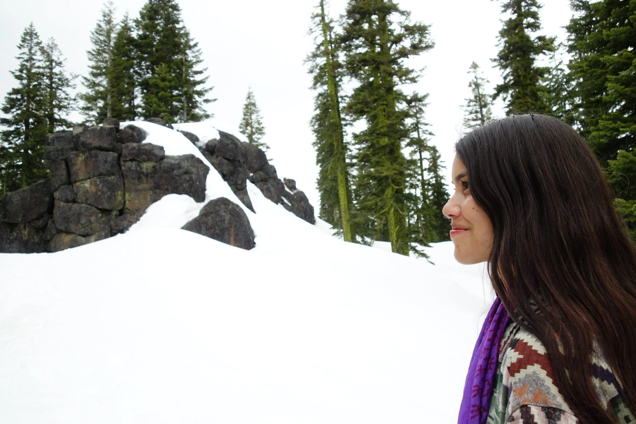 Mt Shasta Spiritual Tours