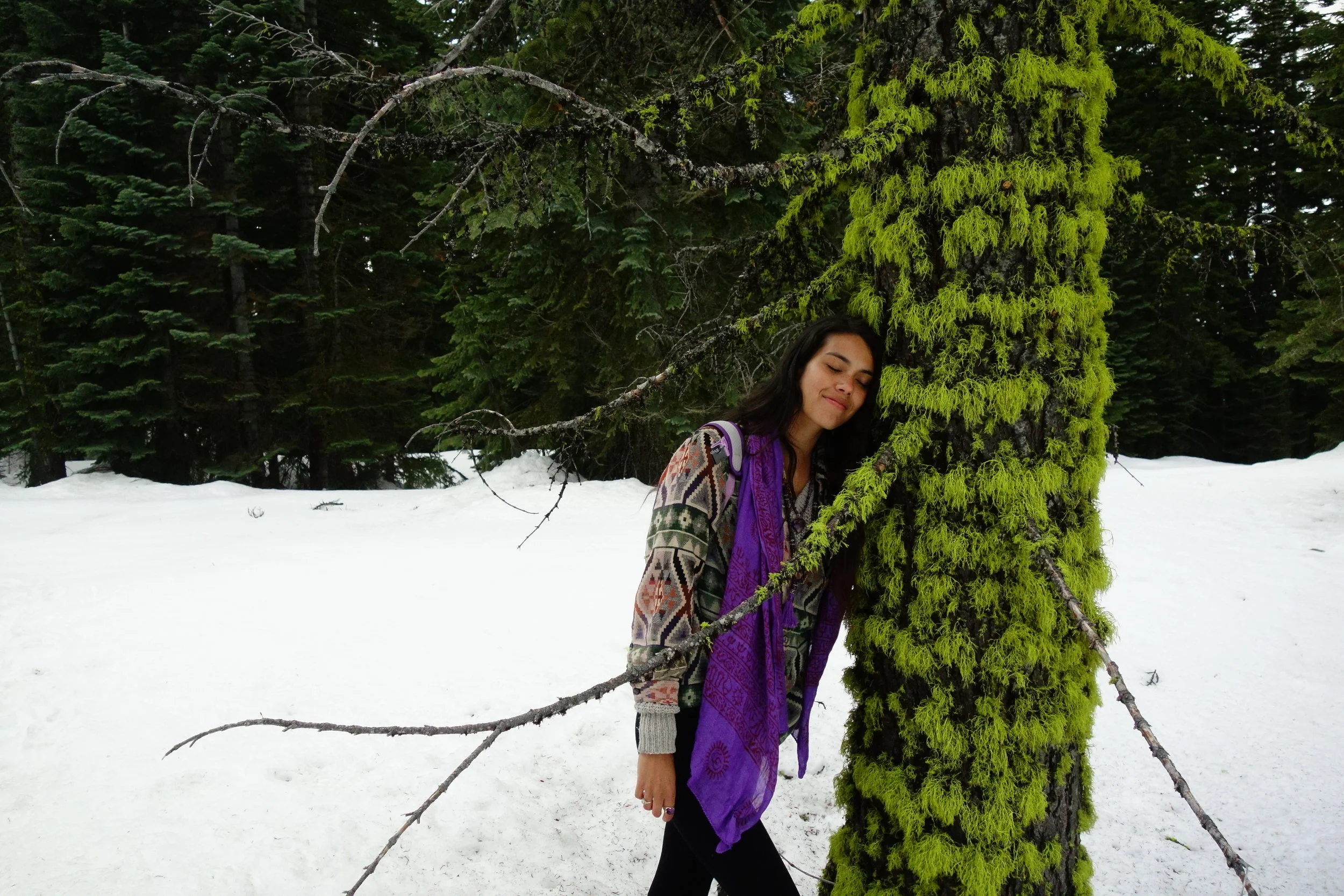 Mt Shasta Spiritual Tours