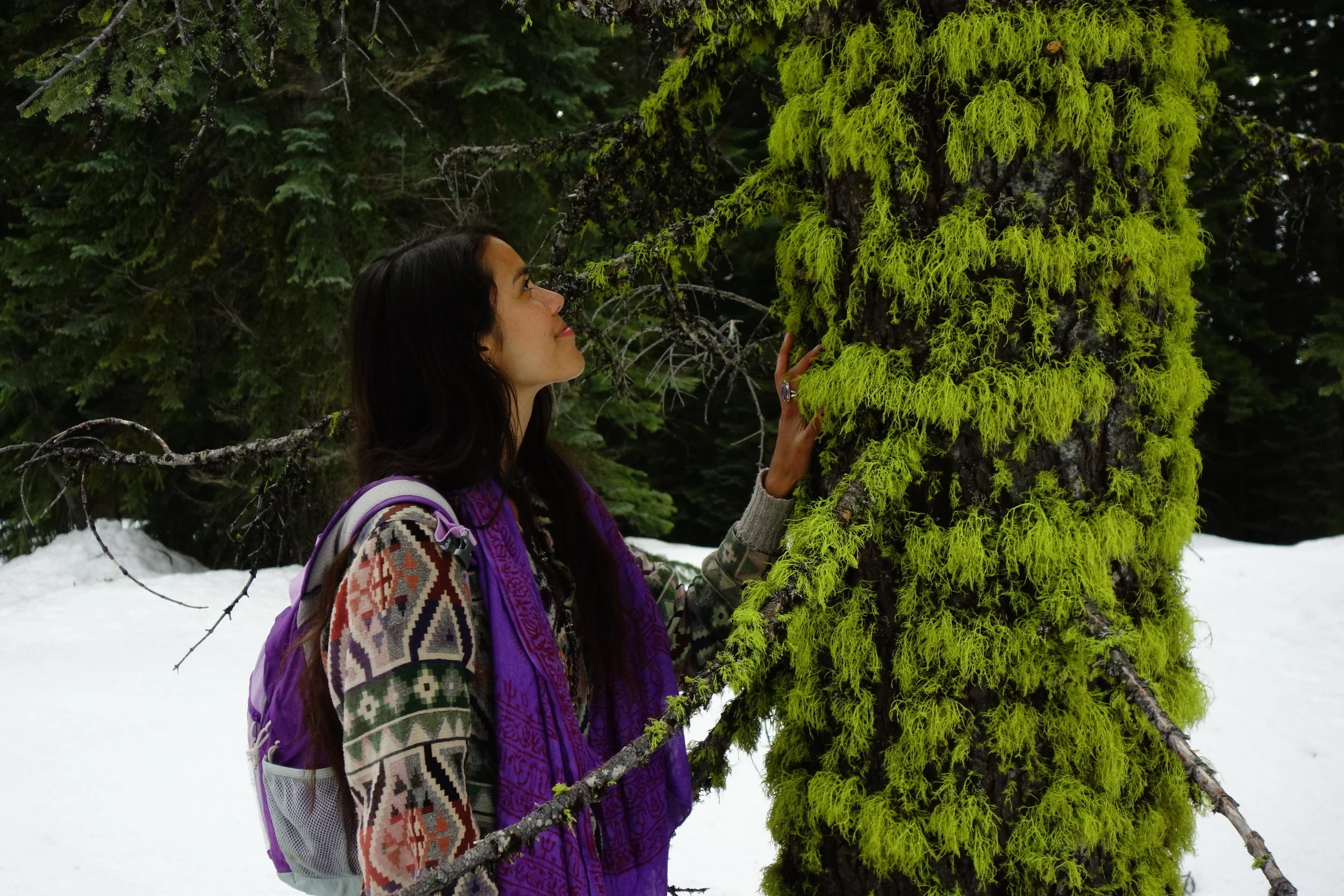 Mt Shasta Spiritual Tours