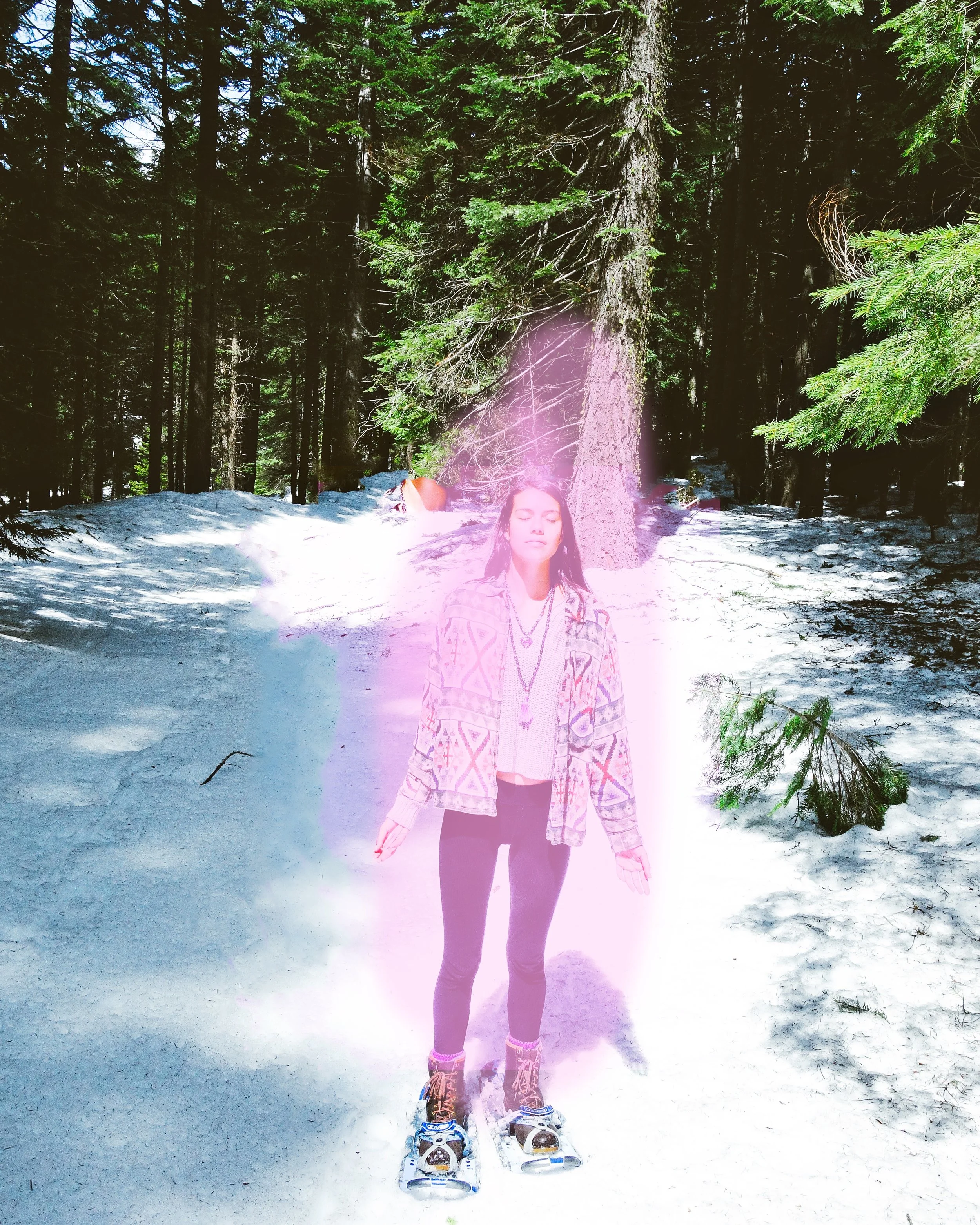 Mt Shasta Spiritual Tours