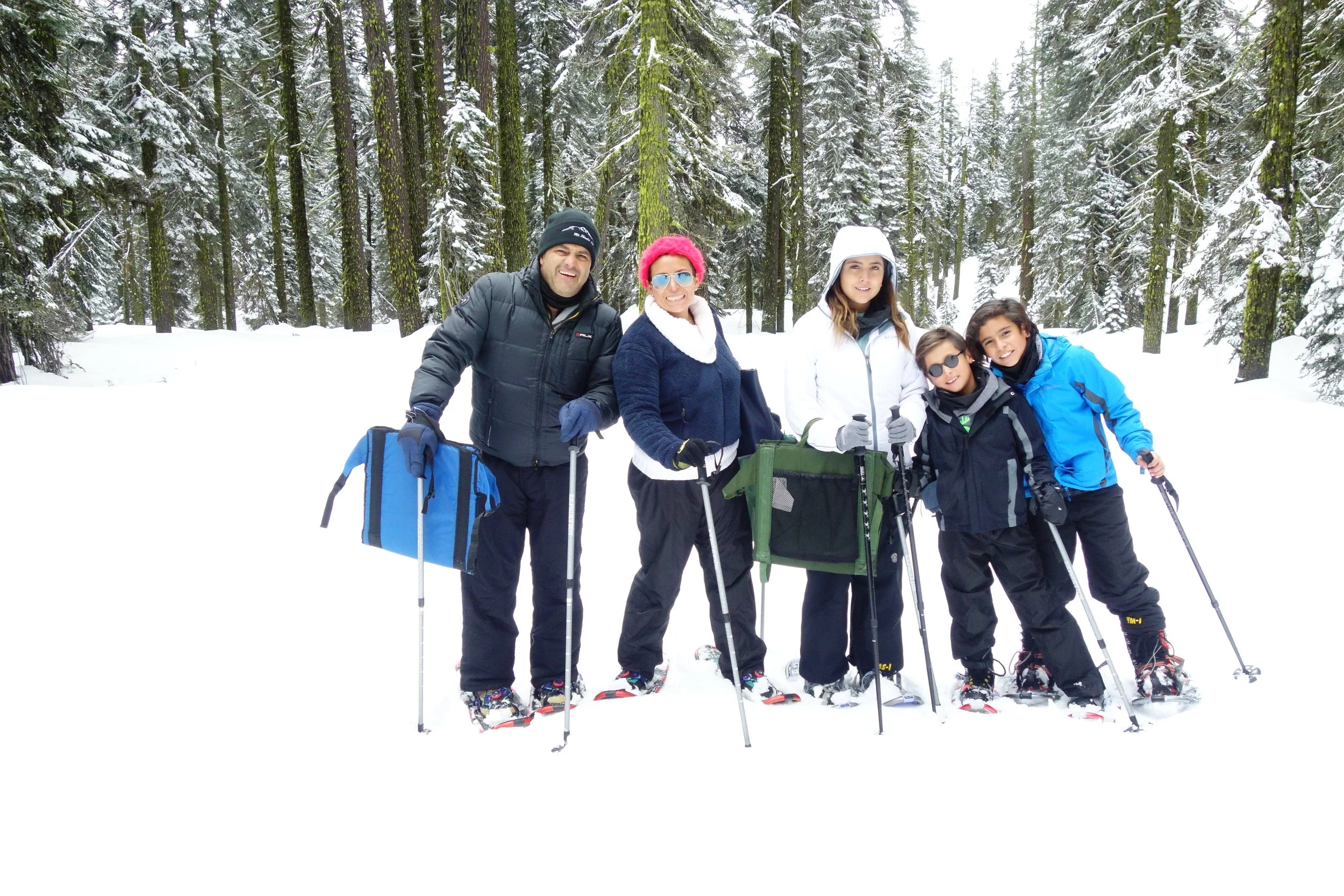 Mt. Shasta Spiritual Tours