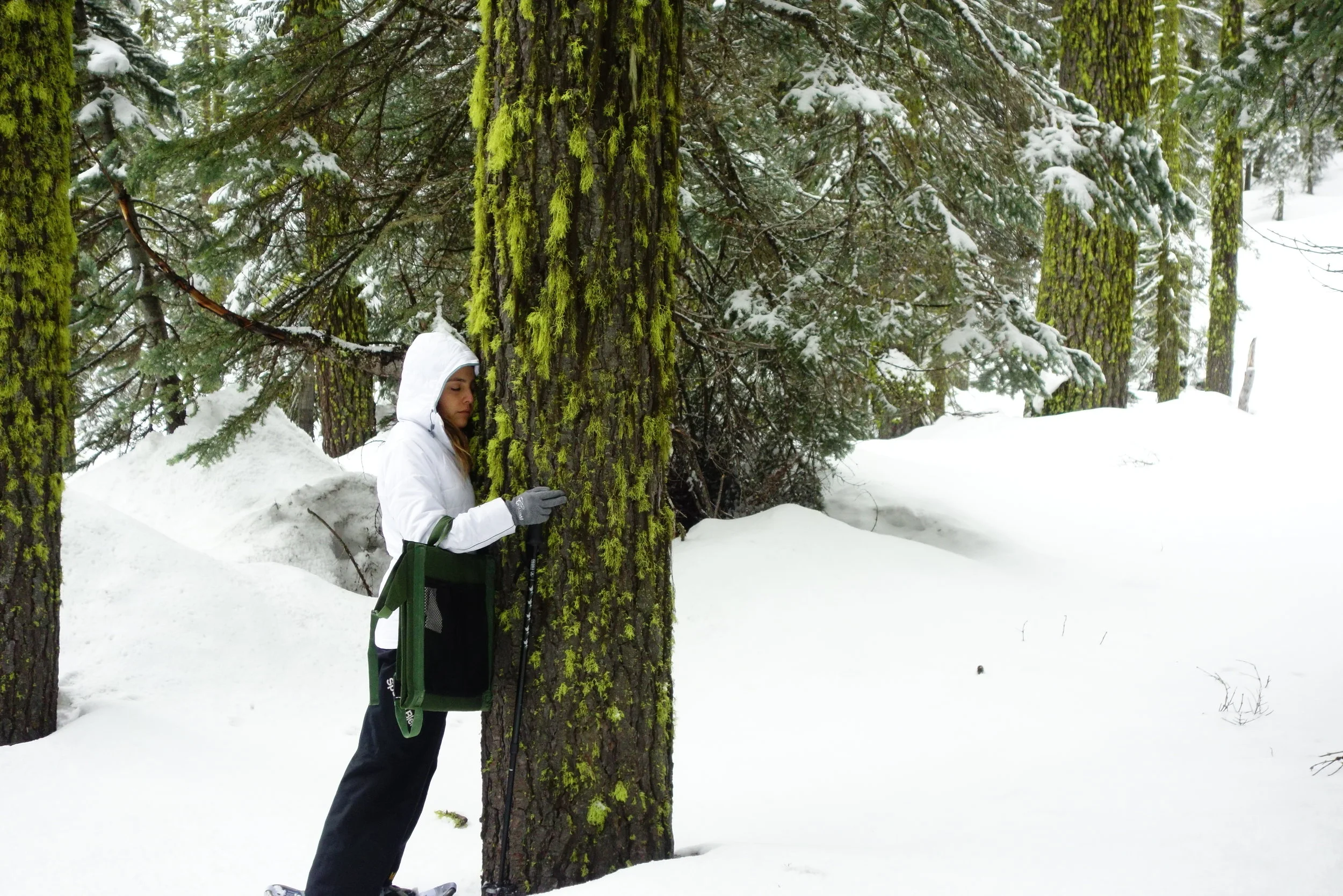 Mt. Shasta Spiritual Tours