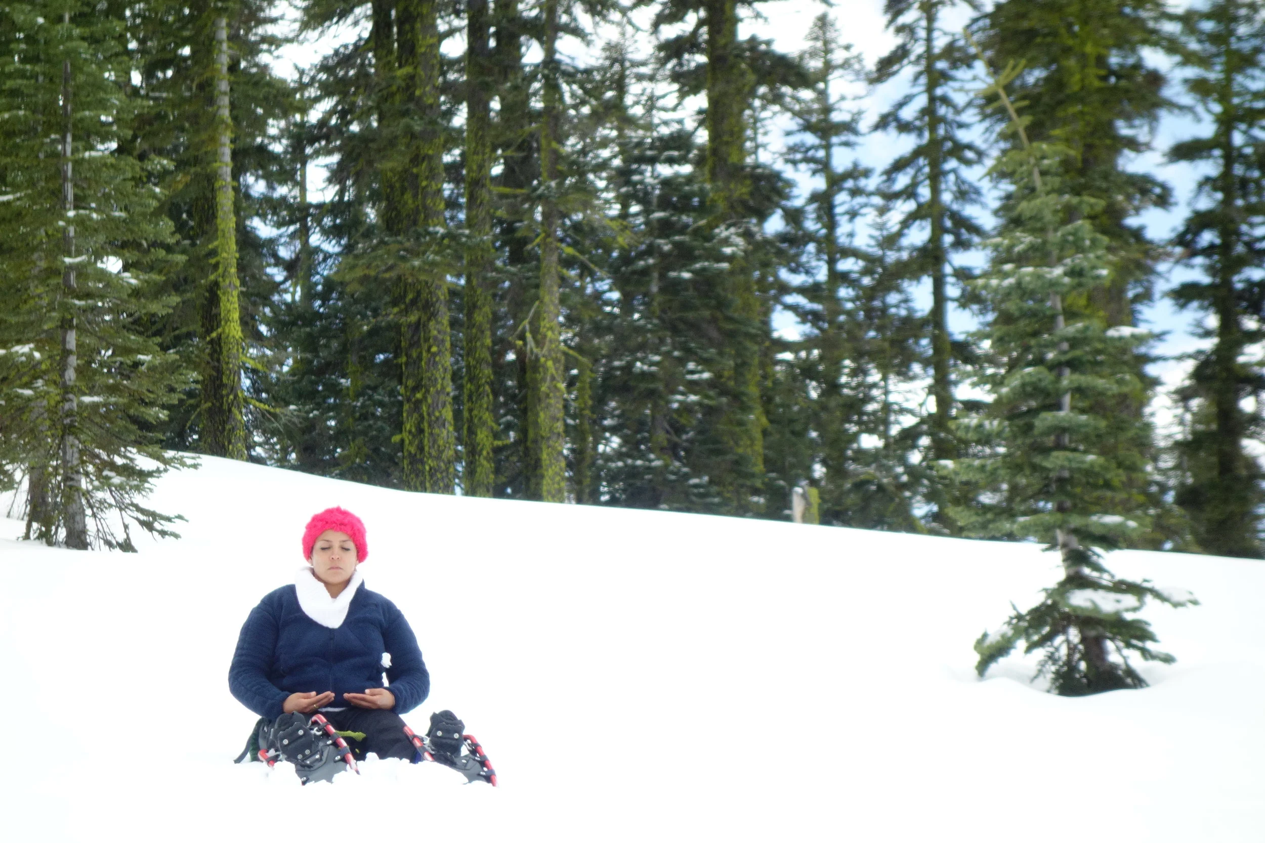 Mt. Shasta Spiritual Tours