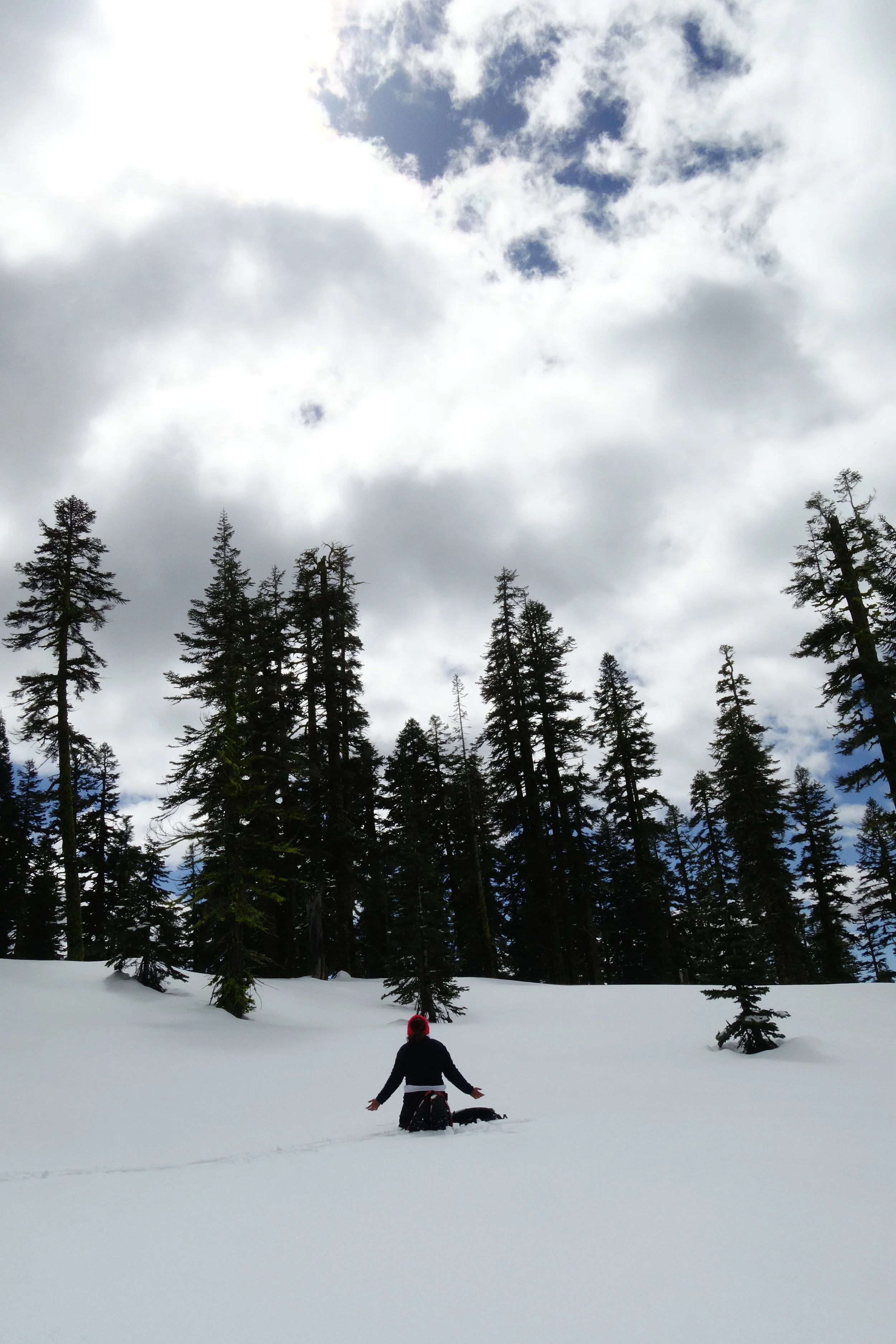 Mt. Shasta Spiritual Tours