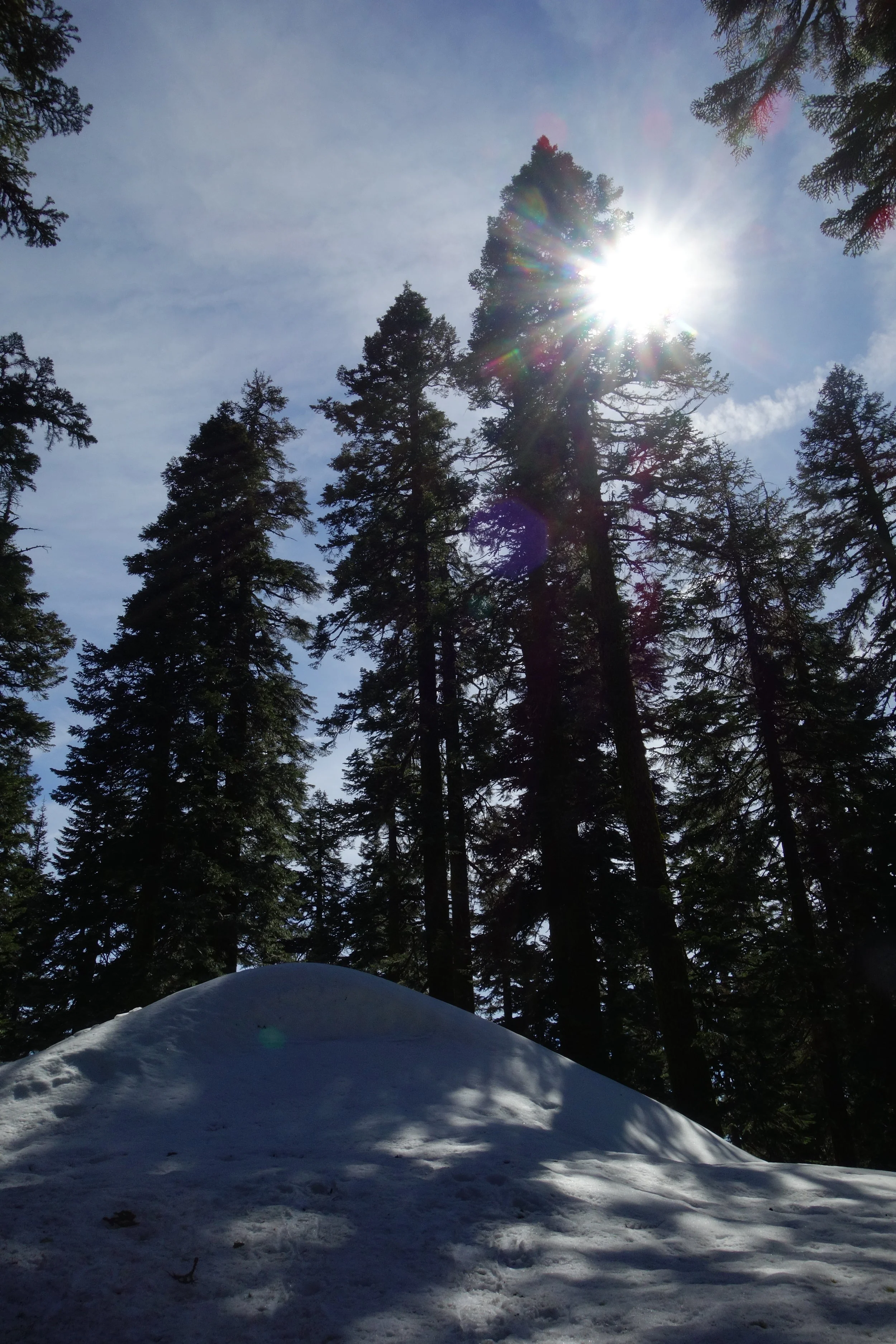 Mt. Shasta Spiritual Tours