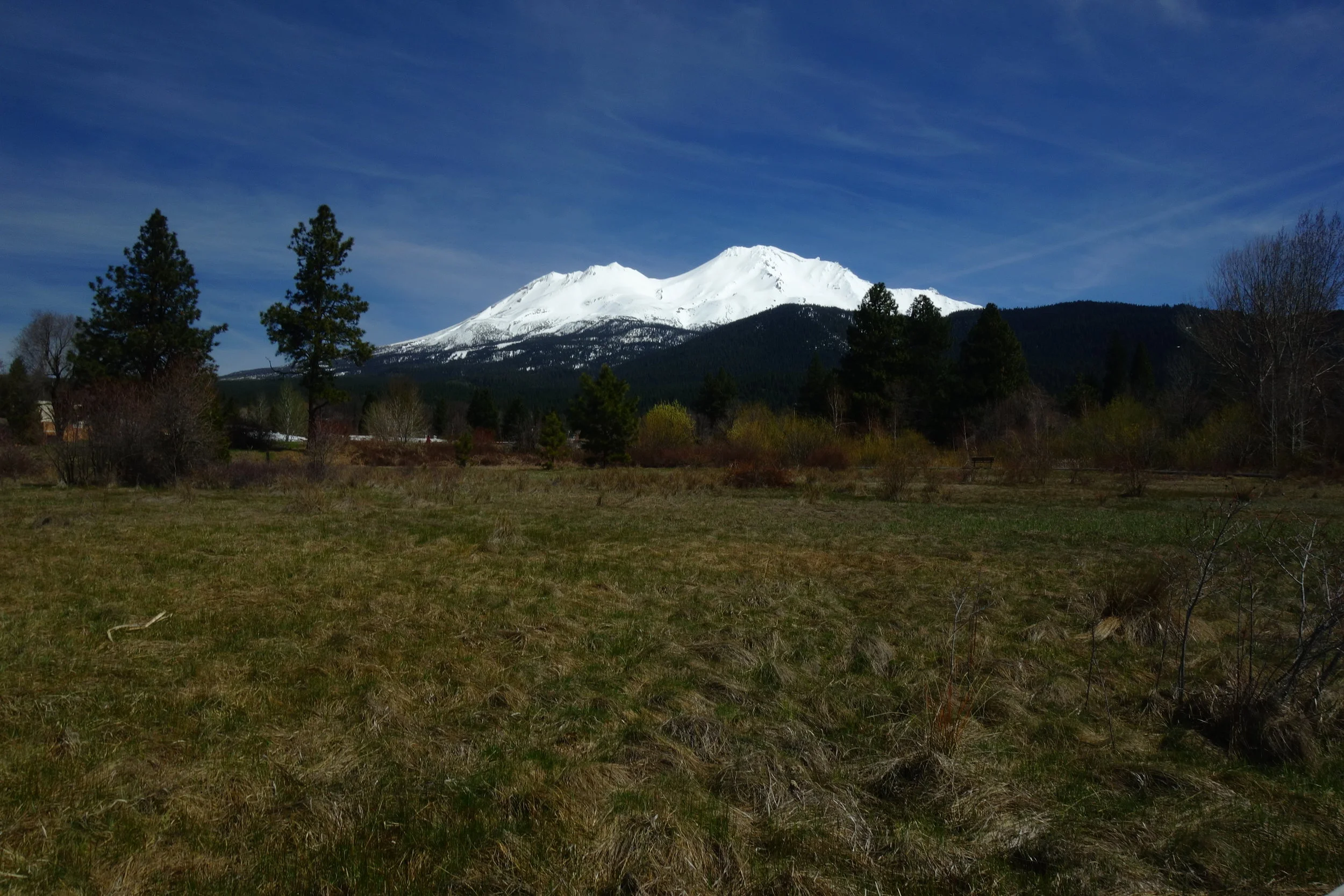 Mt. Shasta Spiritual Tours